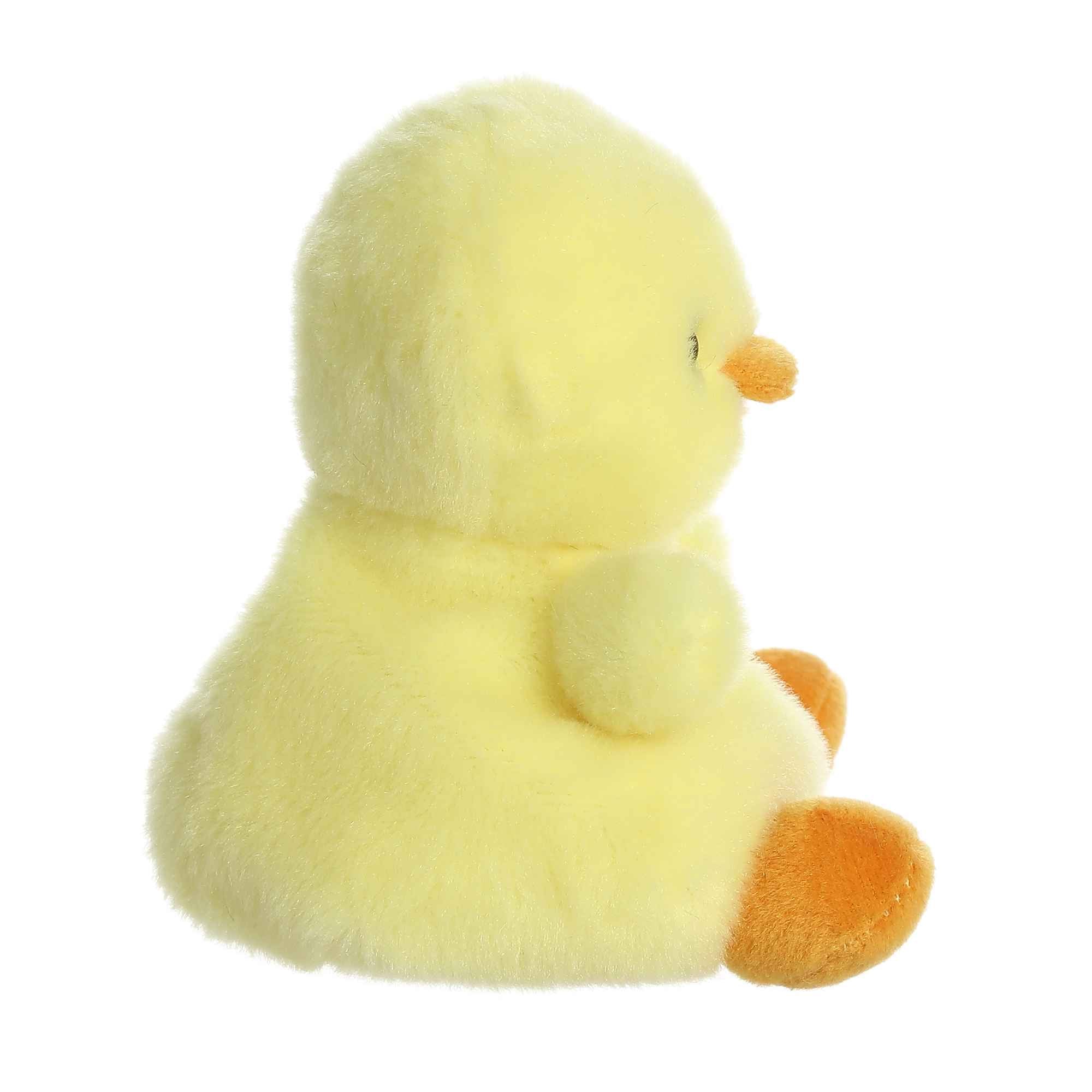 Betsy Chick?