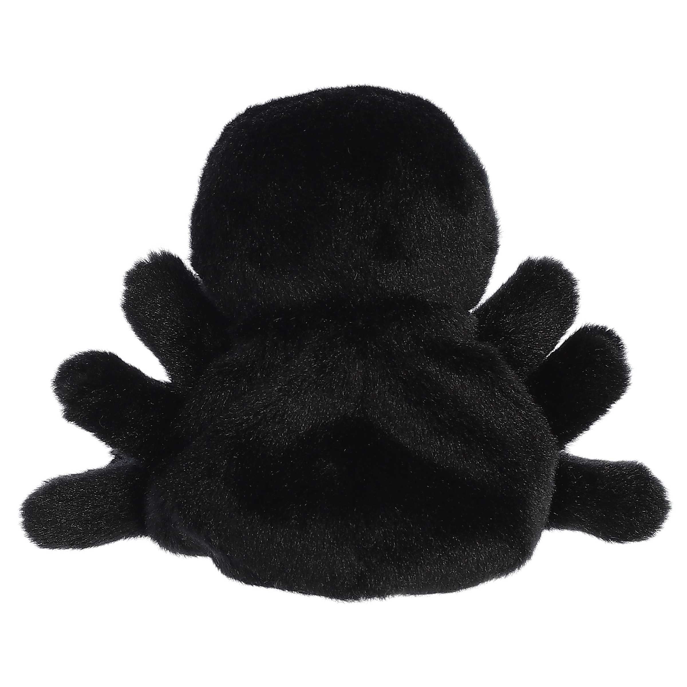 Penny Mae Spider?