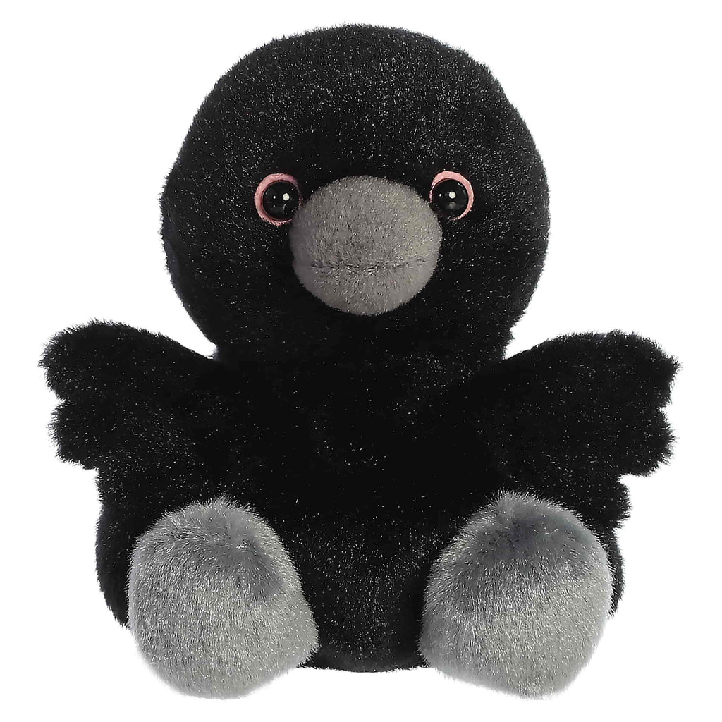 Poe Raven?