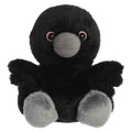 Poe Raven?