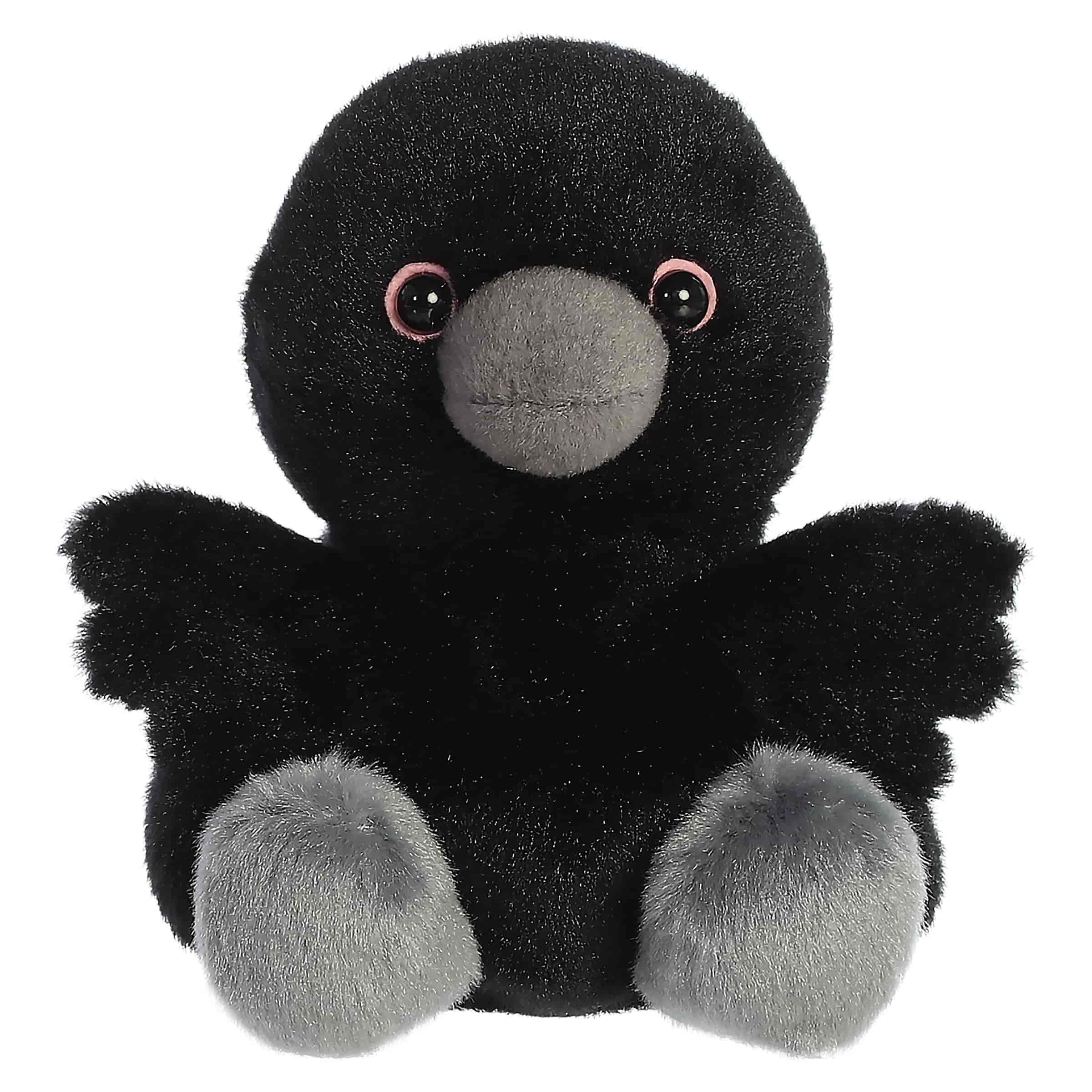 Poe Raven?