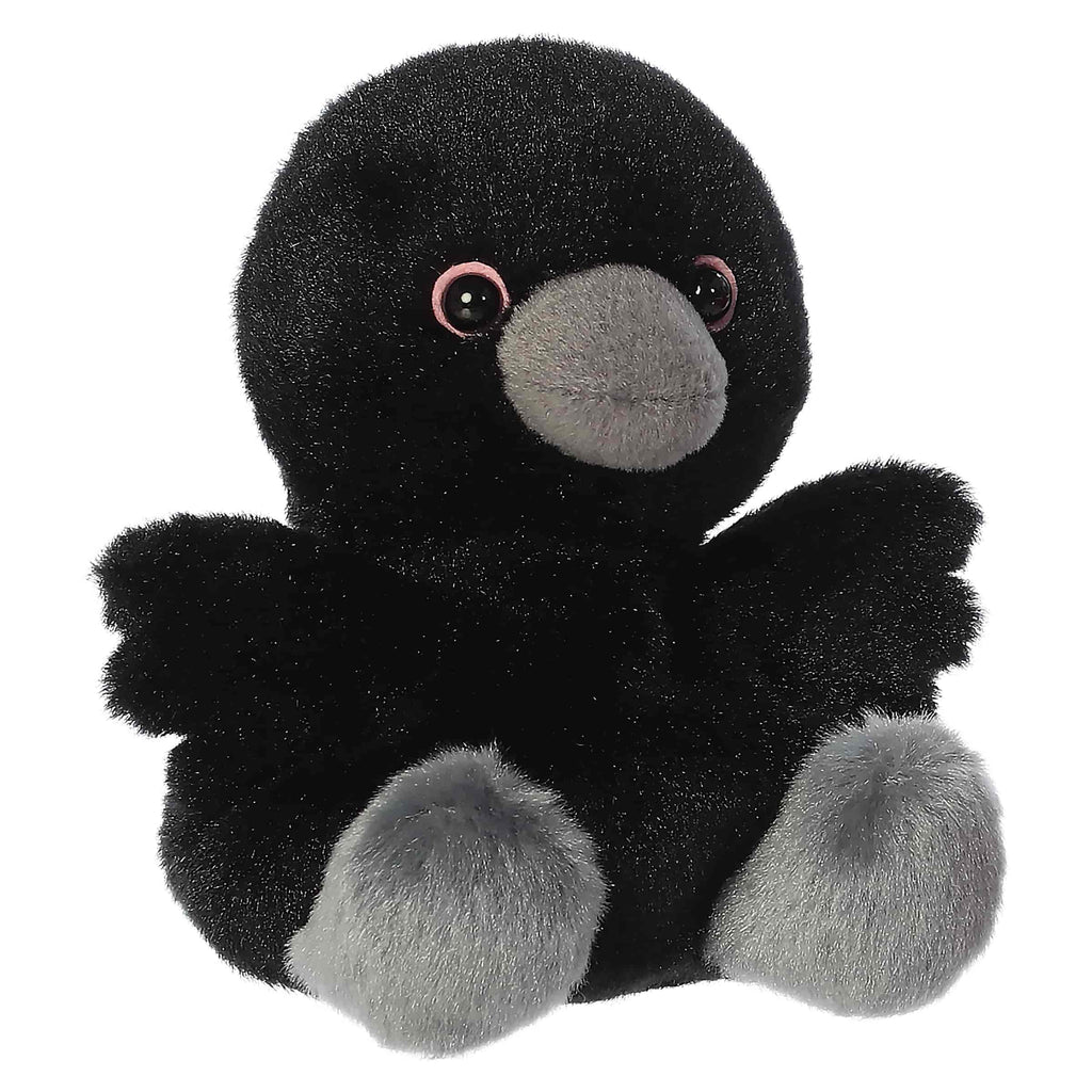Poe Raven?