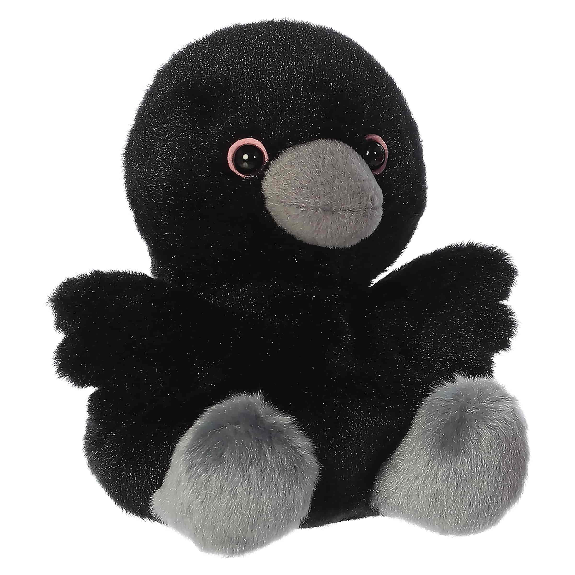 Poe Raven?