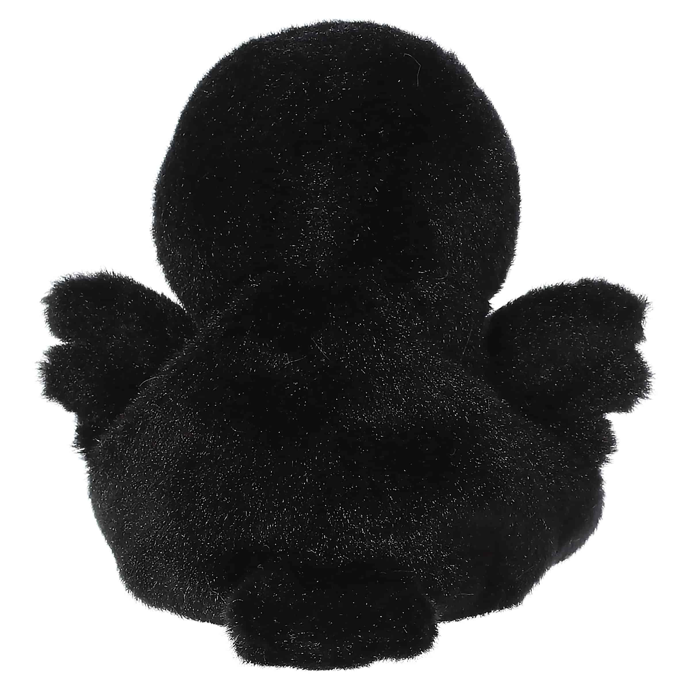 Poe Raven?