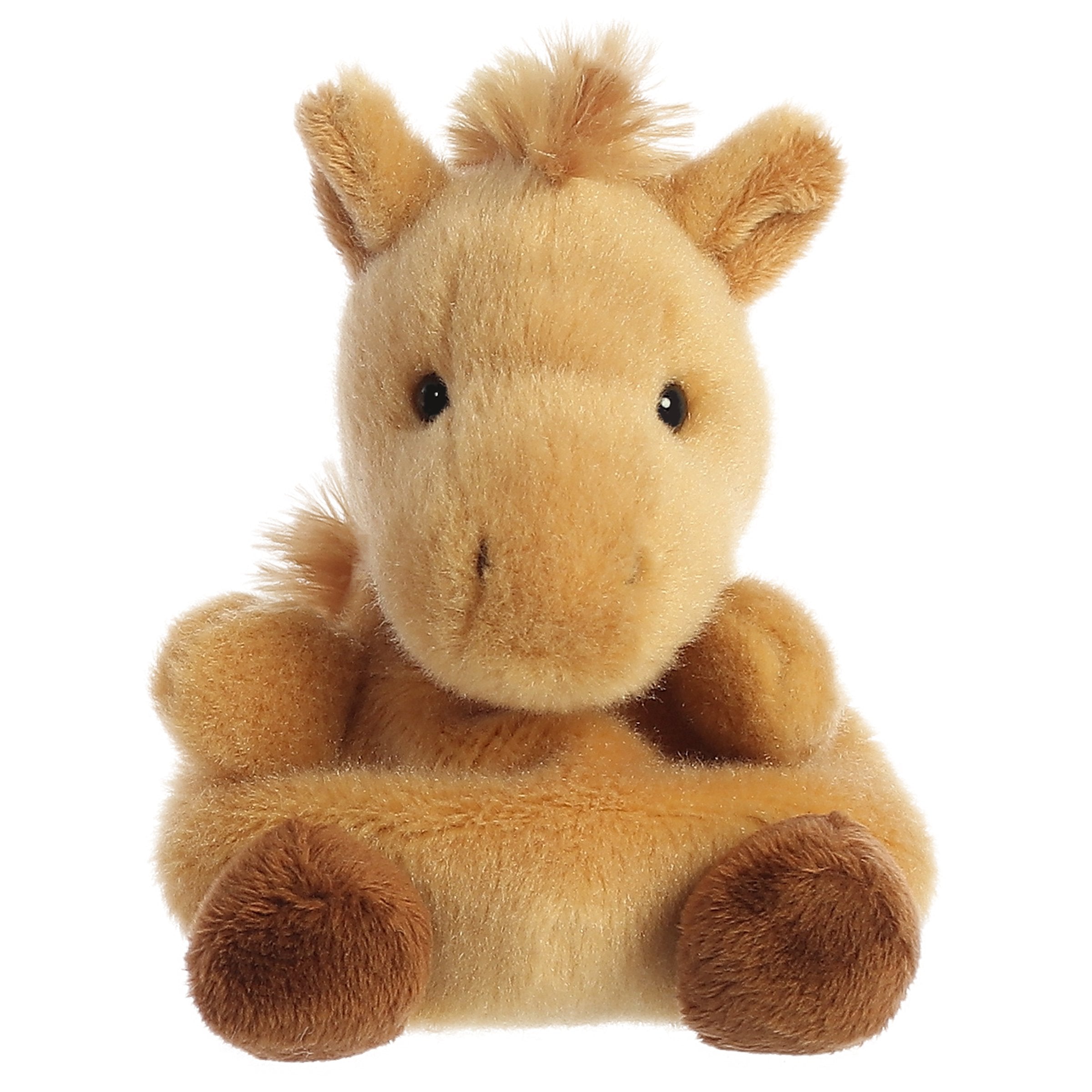 Gallop Pony?