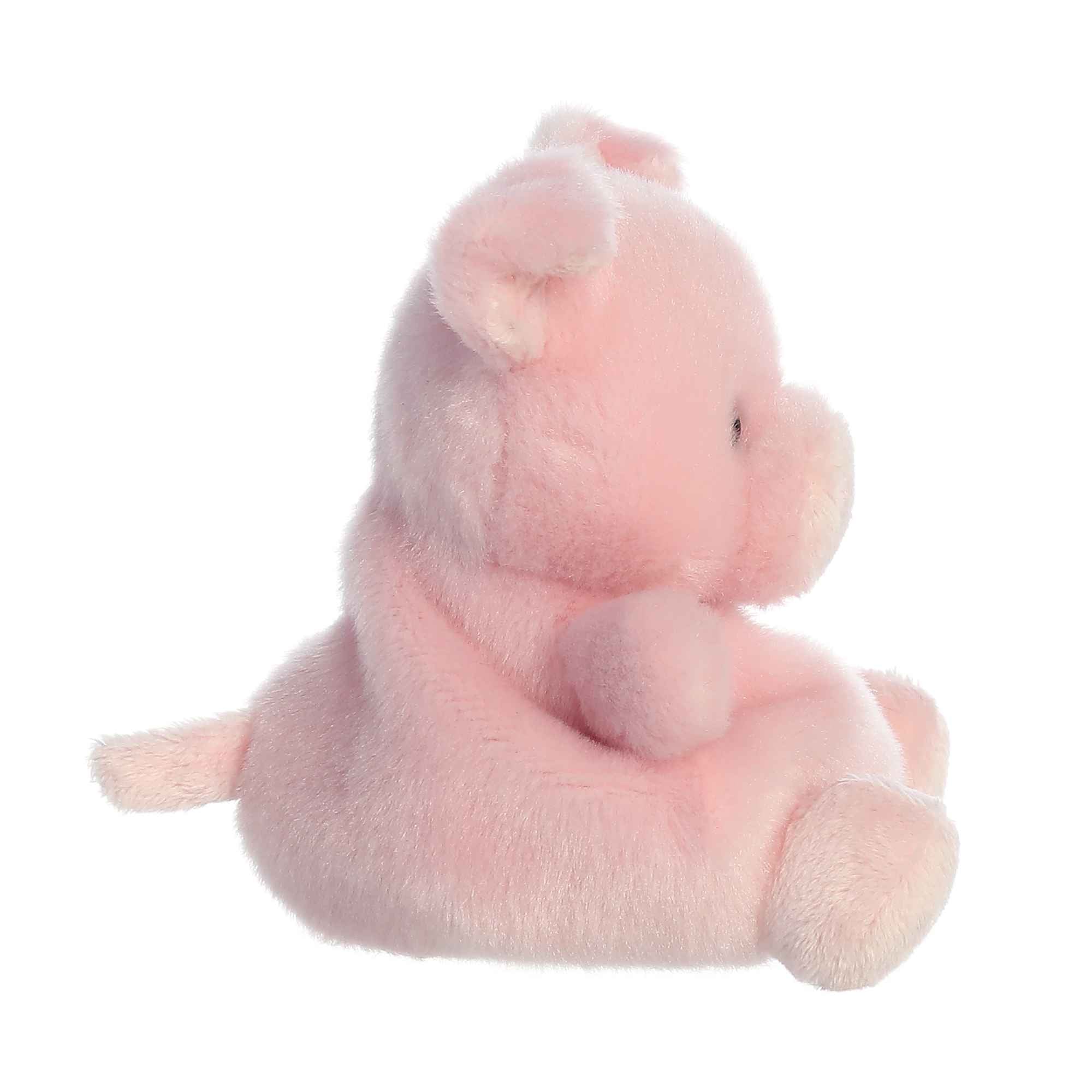 Wizard Pig?