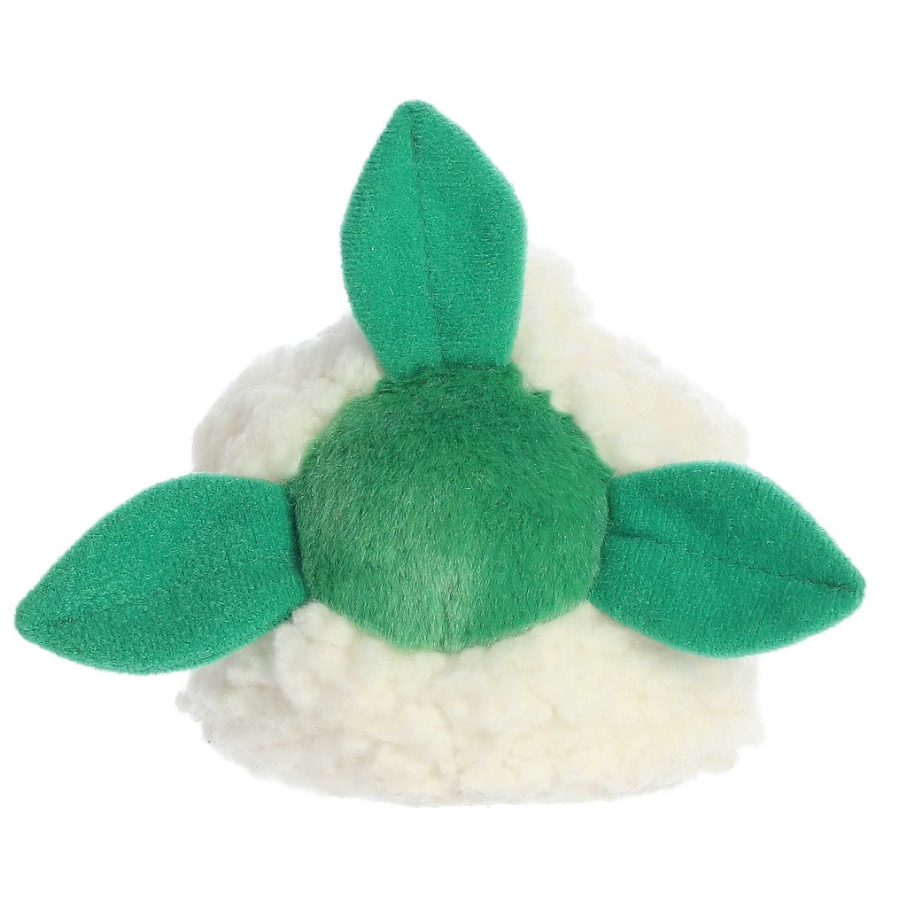 Kelly Cauliflower?
