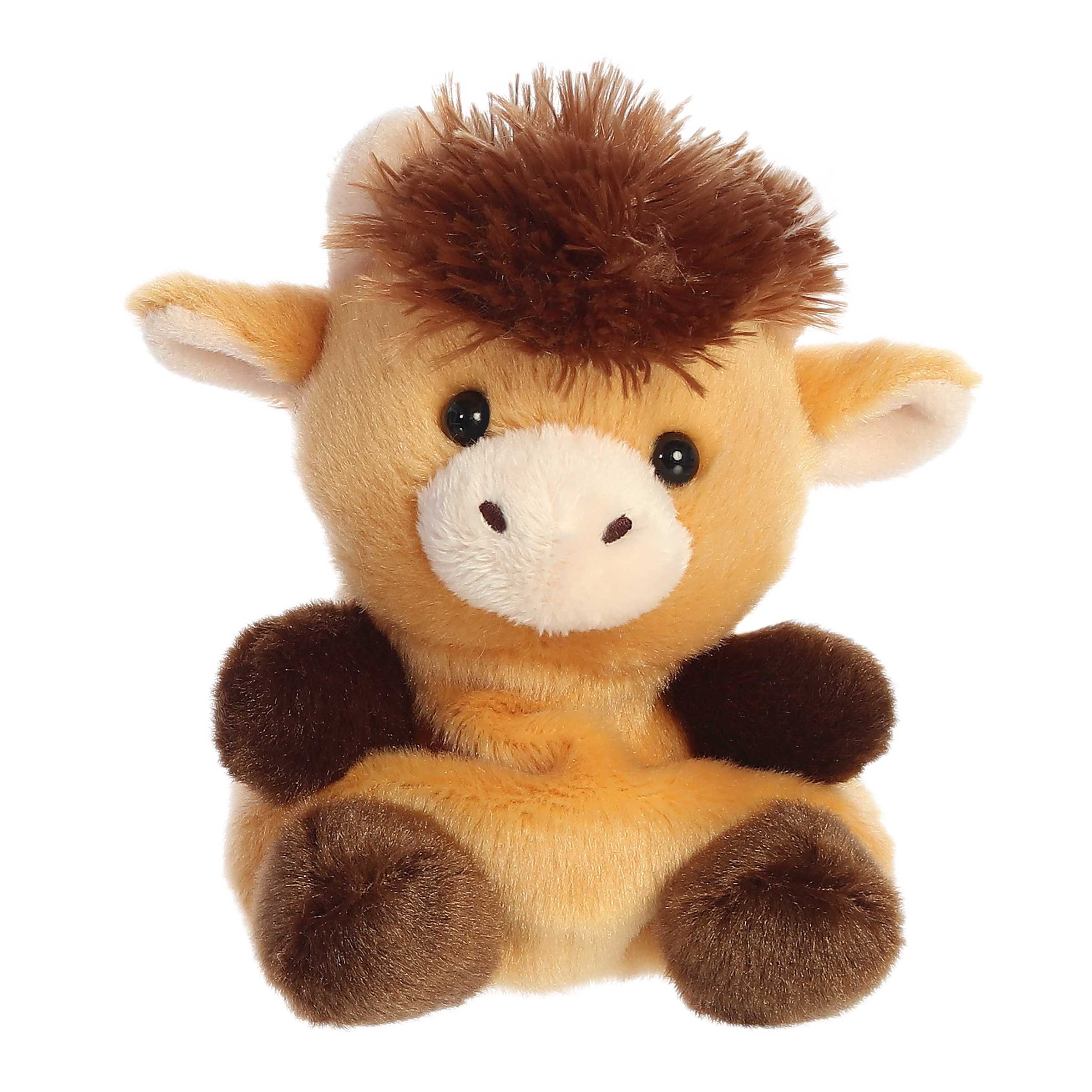 Hubert Highland Cow?