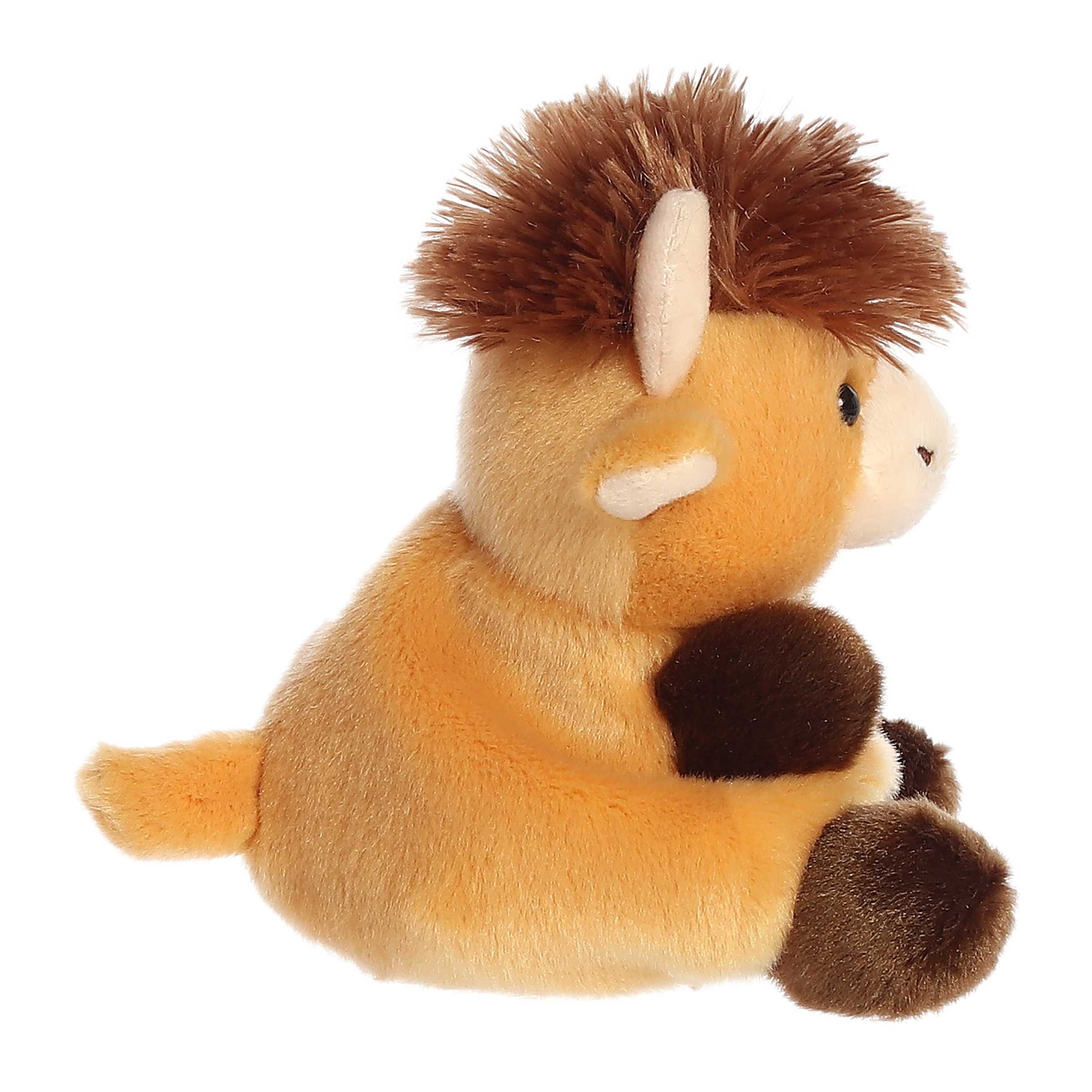 Hubert Highland Cow?