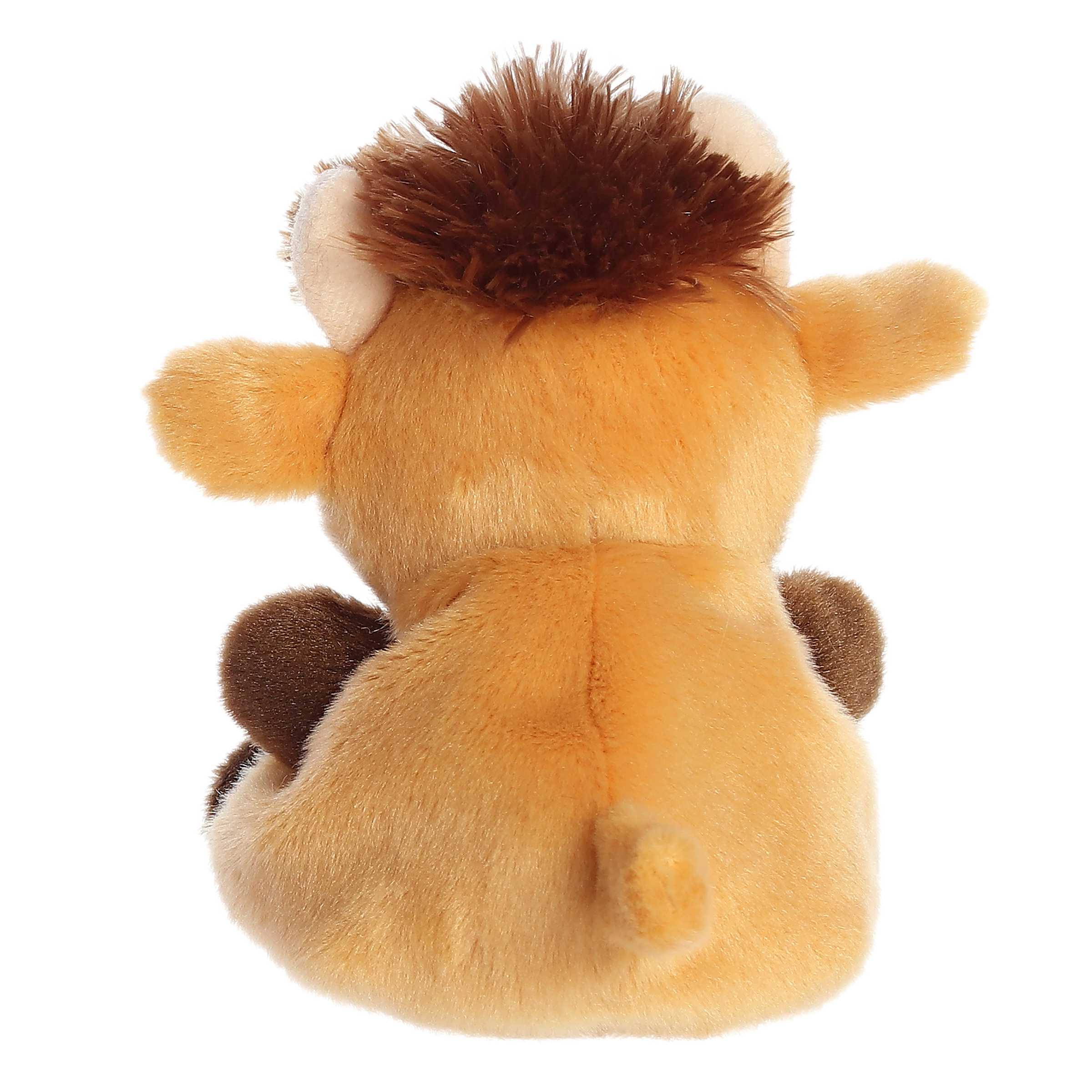 Hubert Highland Cow?