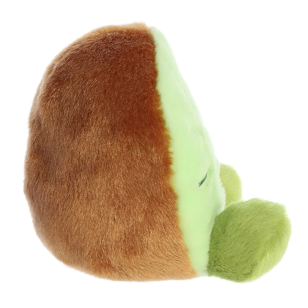 Kimber Kiwi?