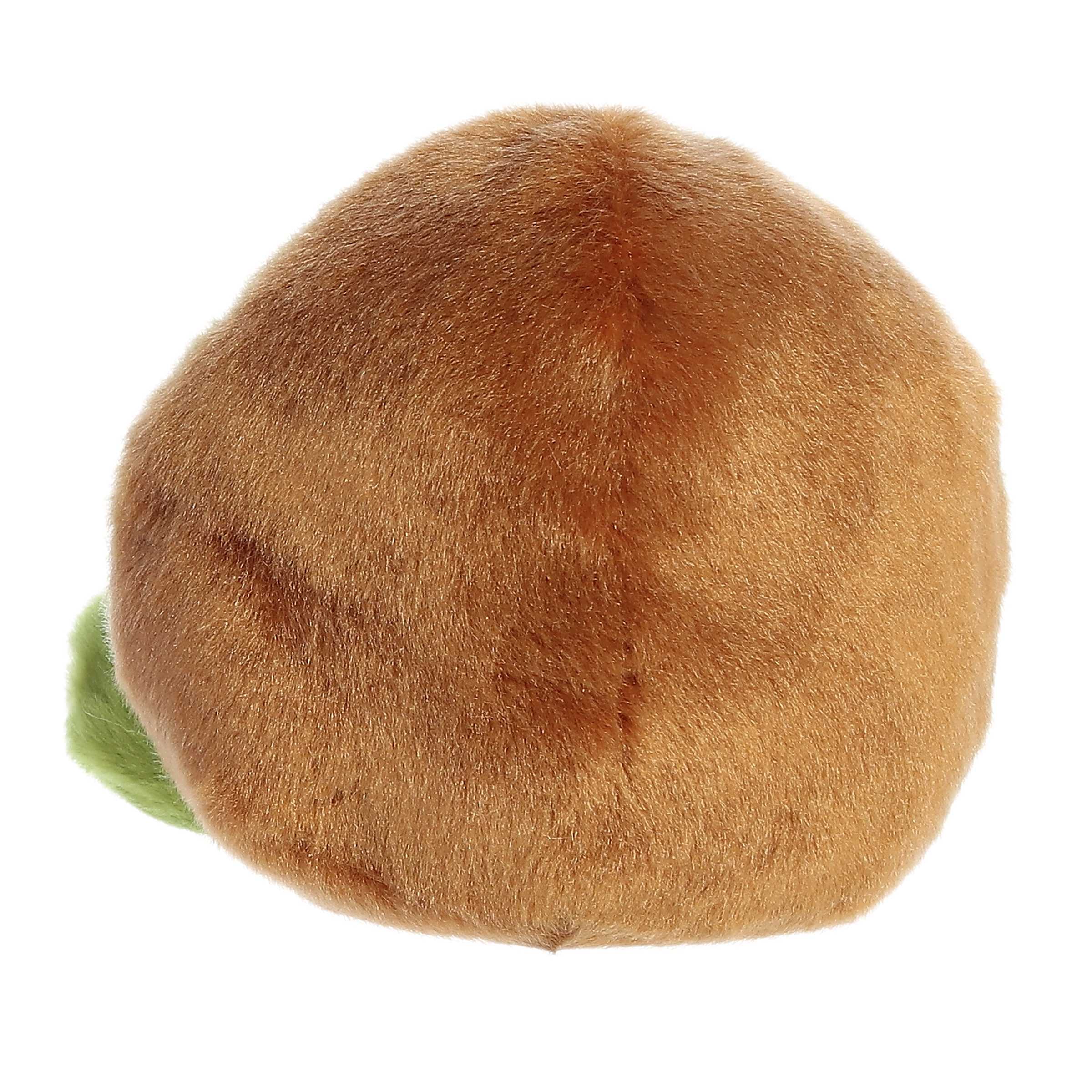 Kimber Kiwi?