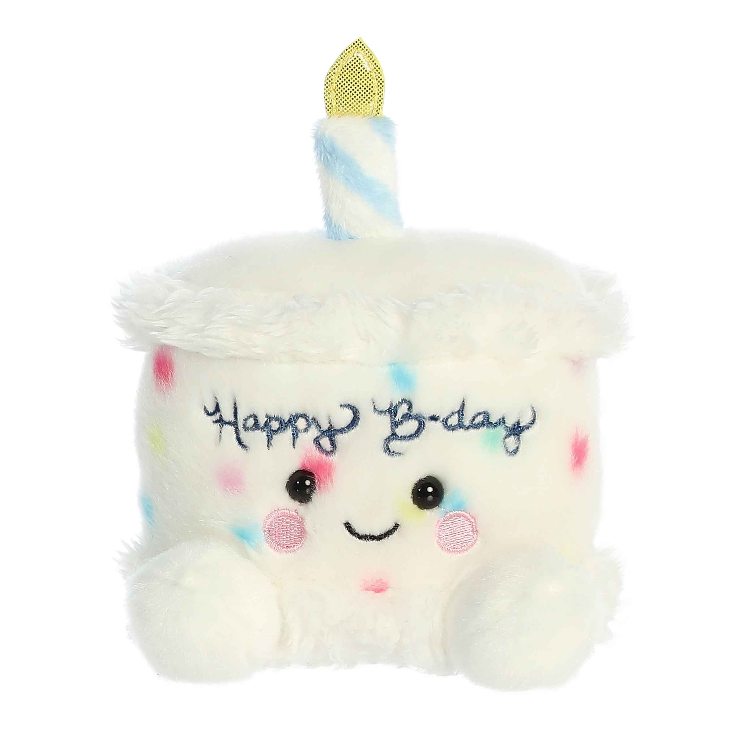 Happy B'Day Cake?