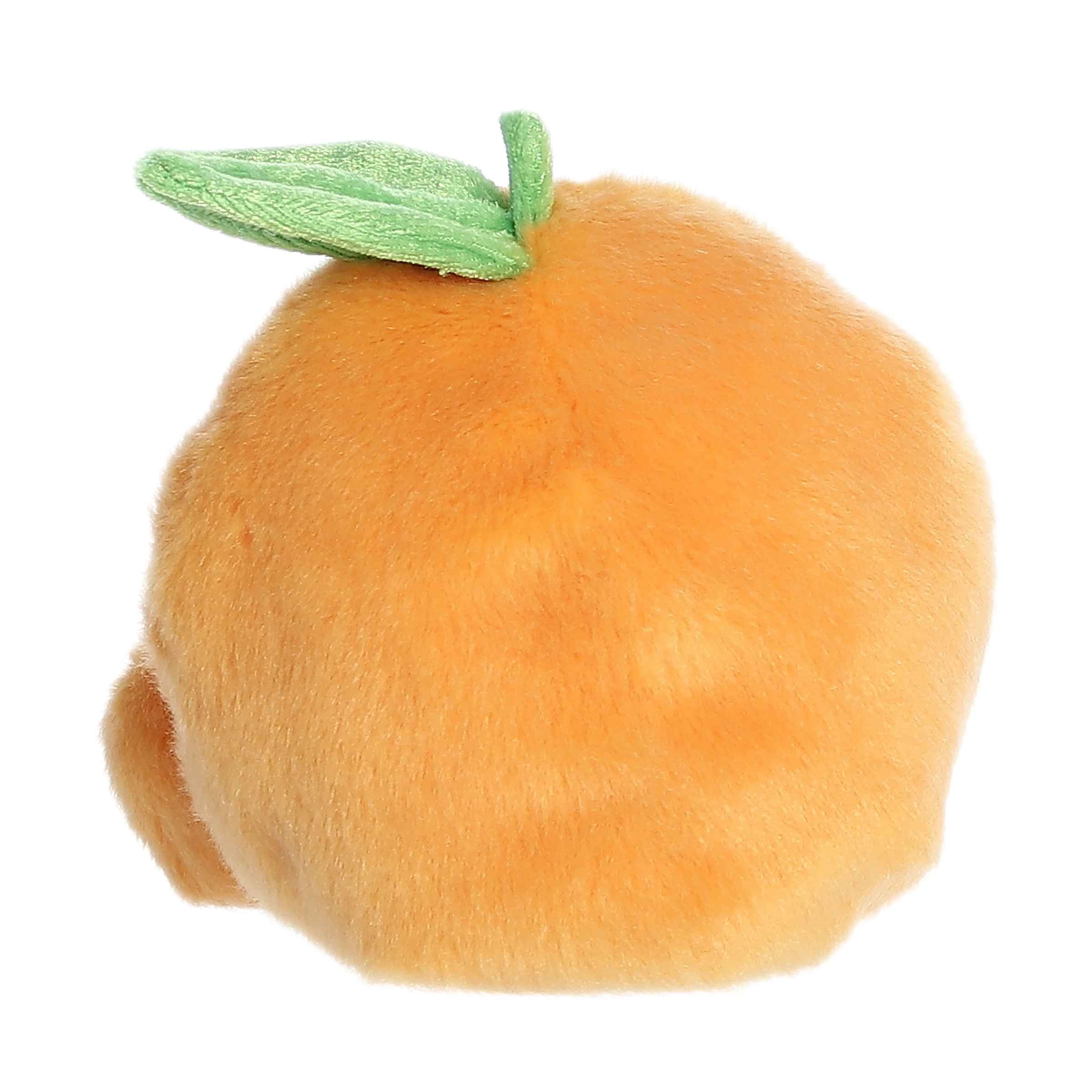 Tangie Orange?