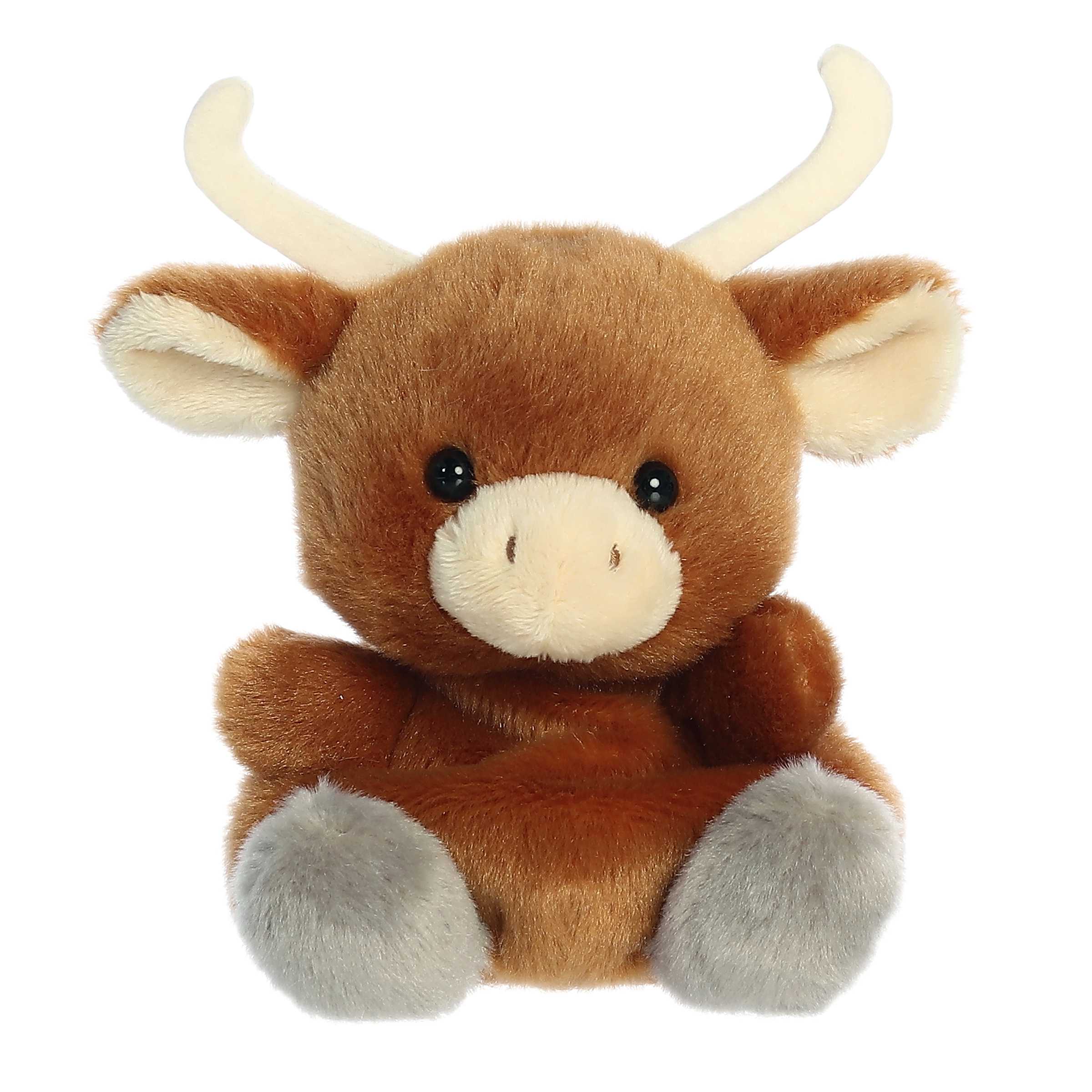 Landon Longhorn?