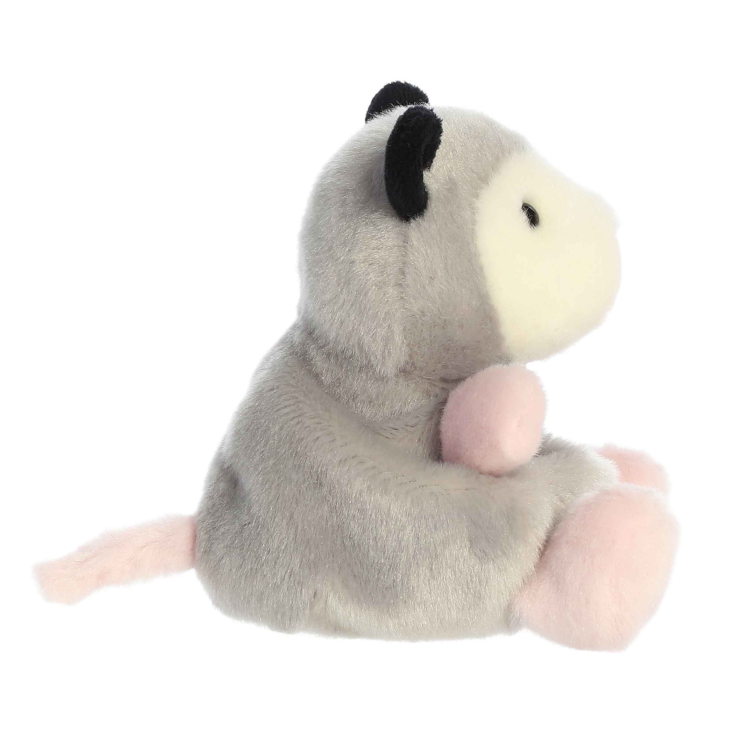 Sherri Opossum?
