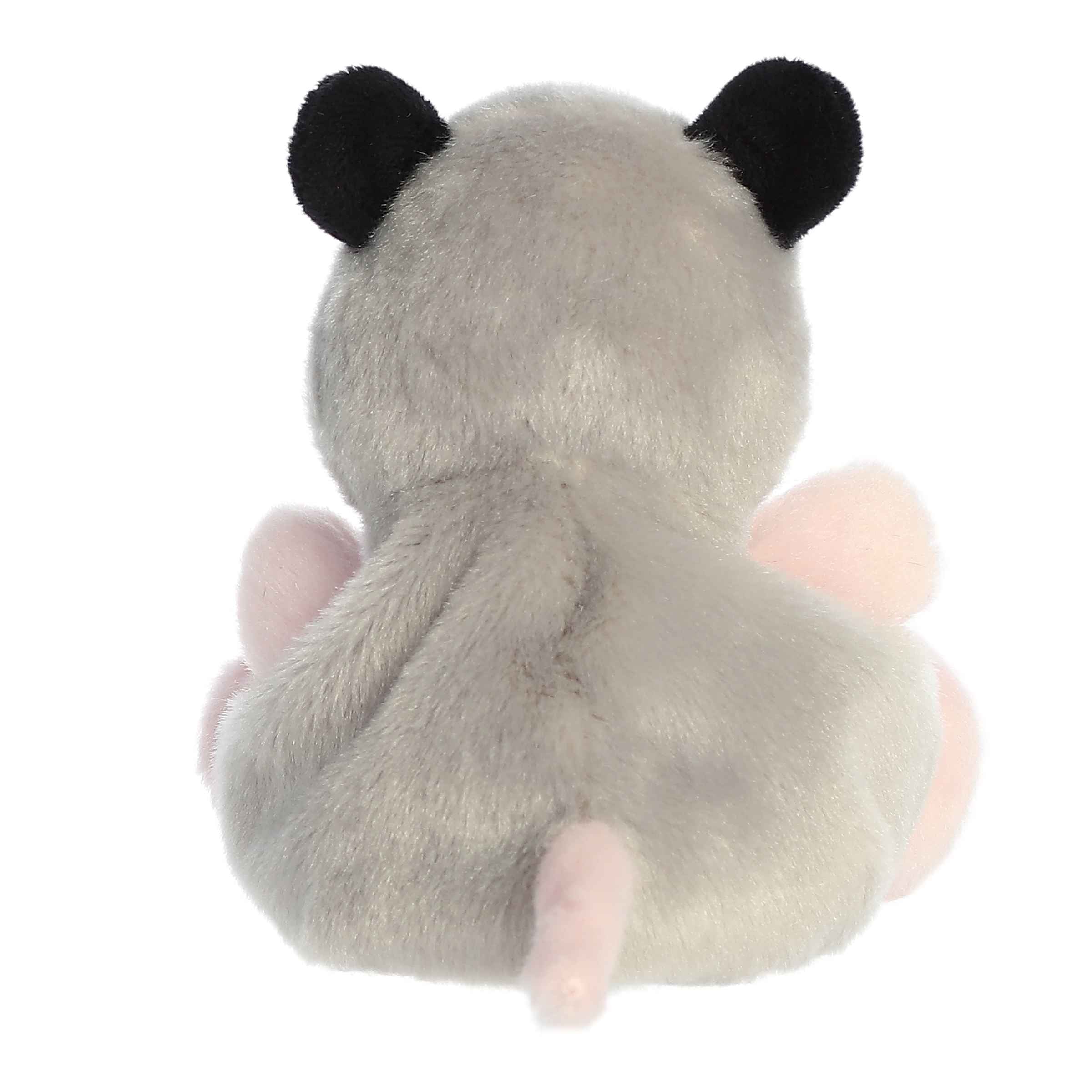 Sherri Opossum?