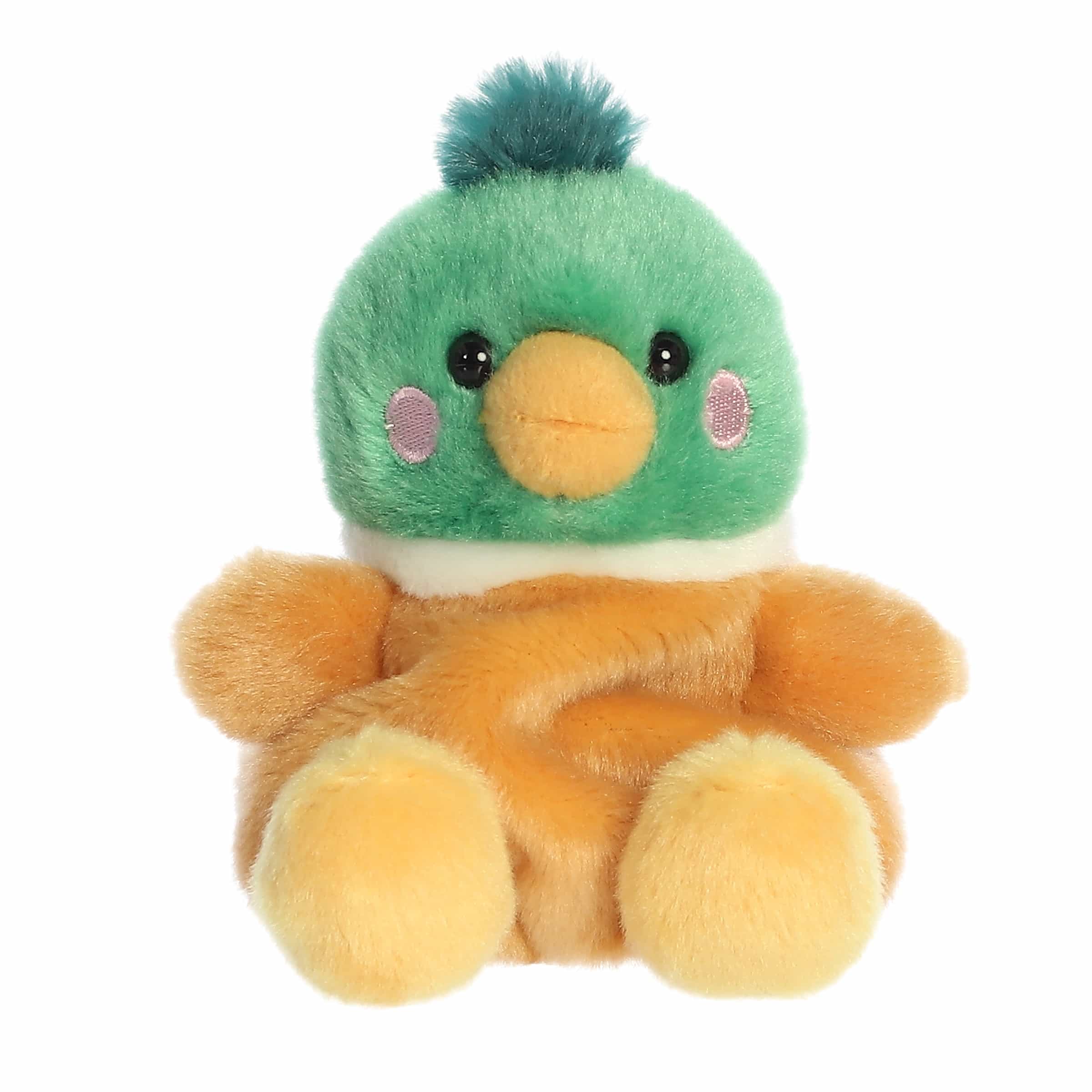 Puddles Mallard Duck?