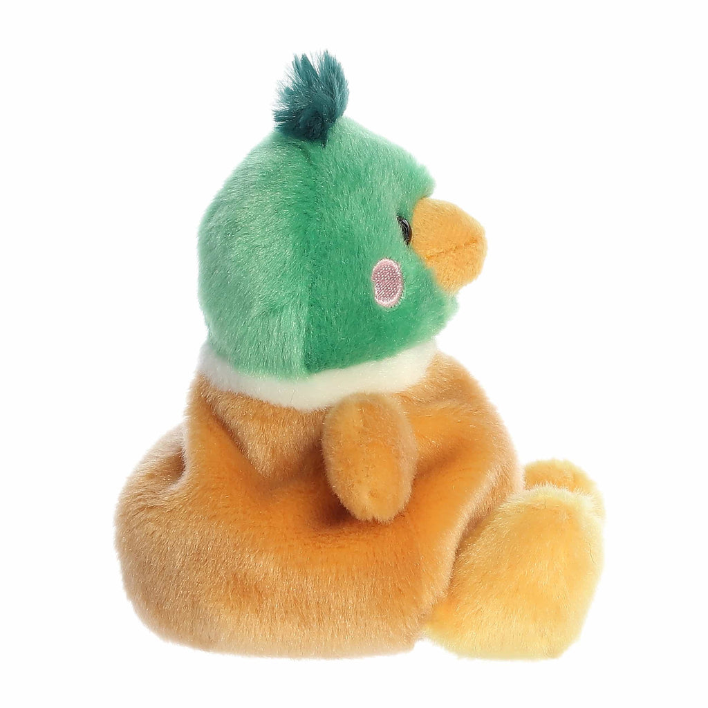Puddles Mallard Duck?