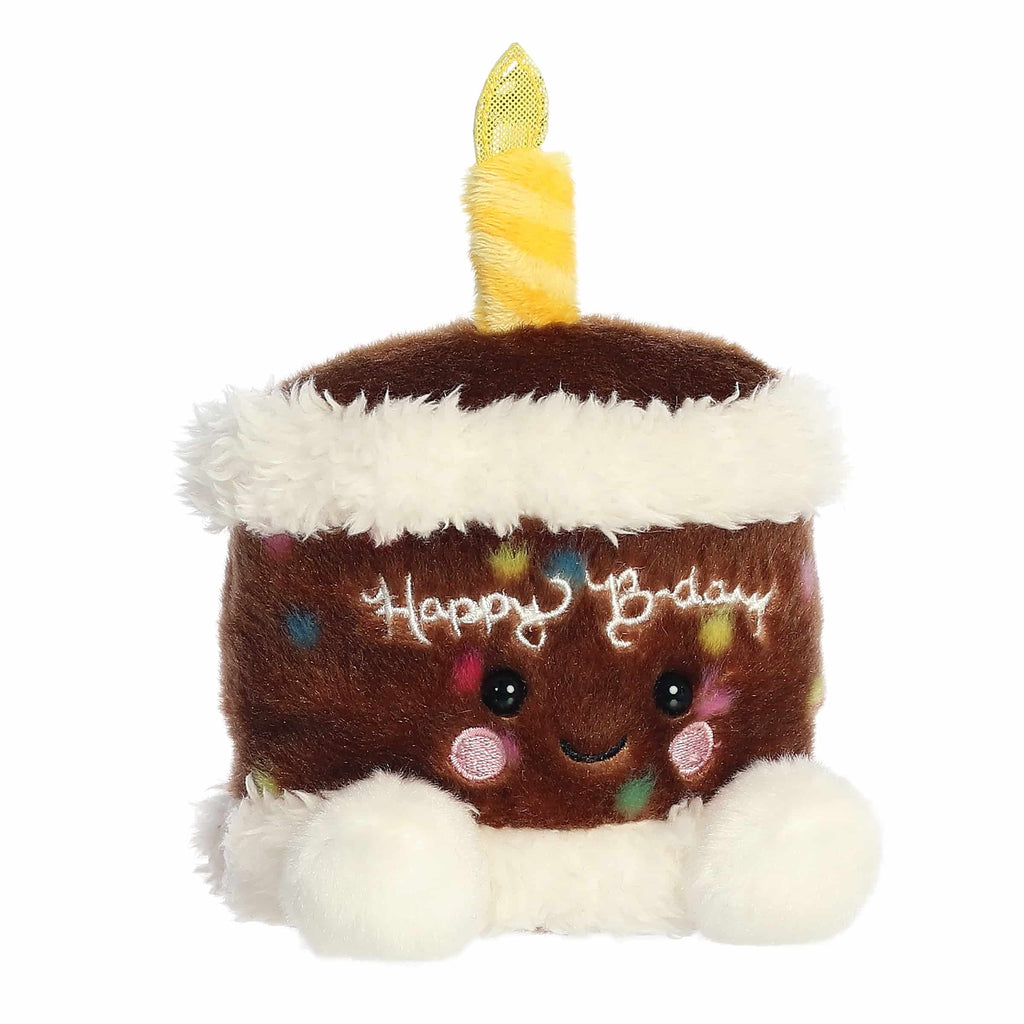 Choco B'day Cake?