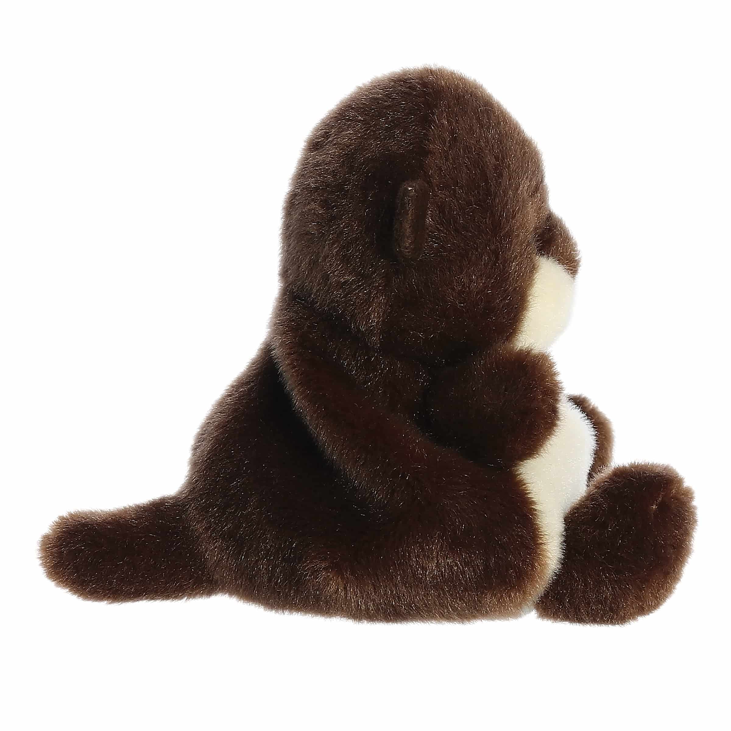 Elena River Otter?
