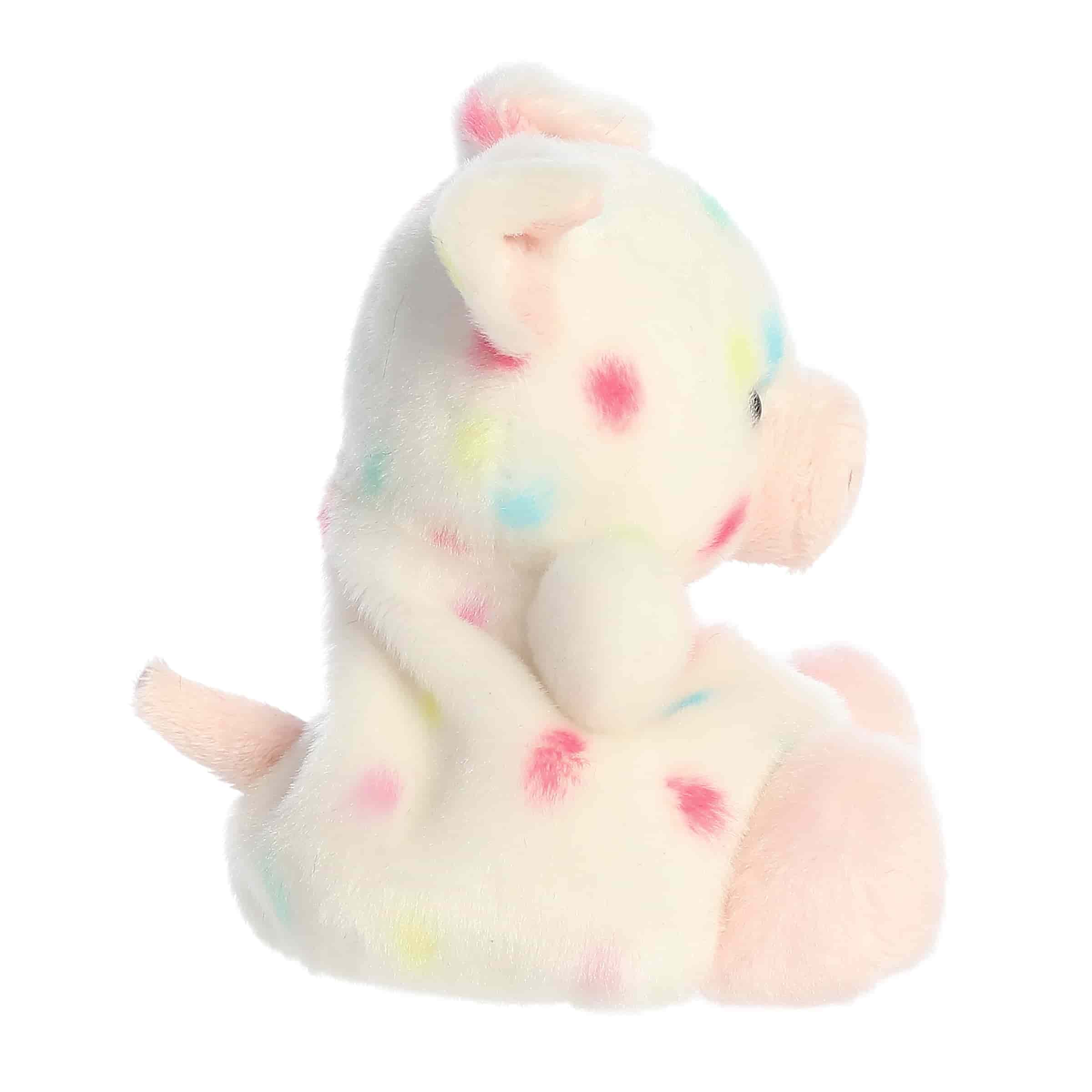 Patsy Funfetti Pig?