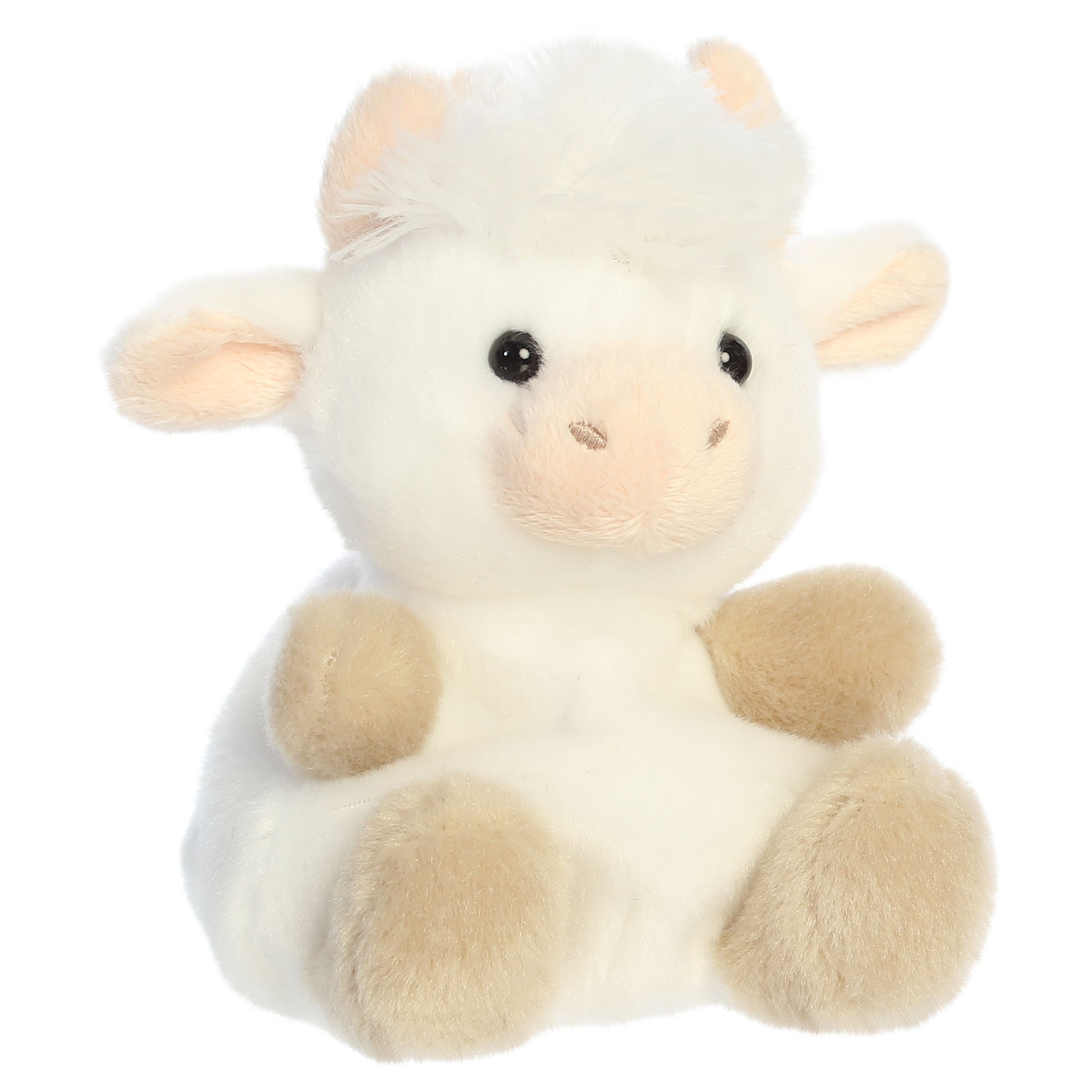 Halleigh Highland Cow?
