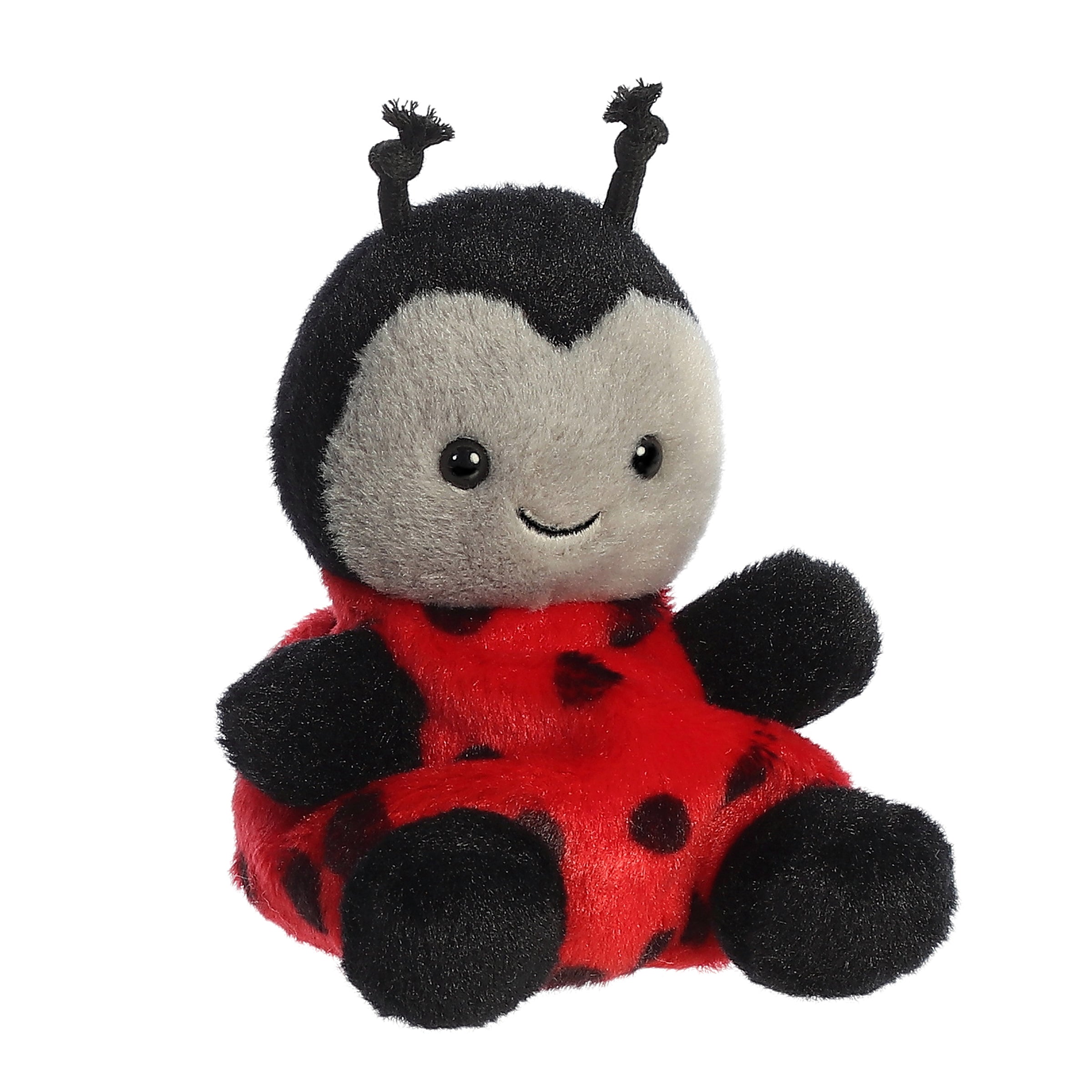 Lil Spots Ladybug?
