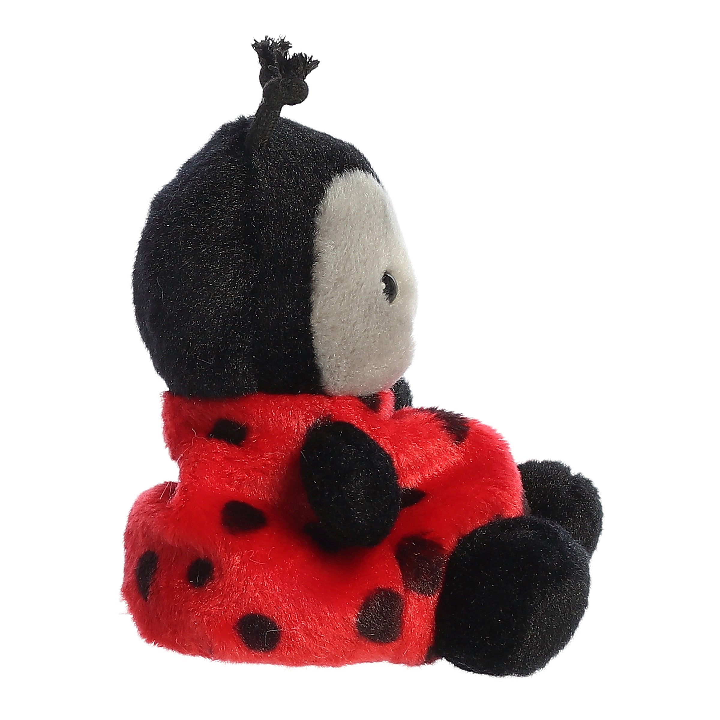 Lil Spots Ladybug?