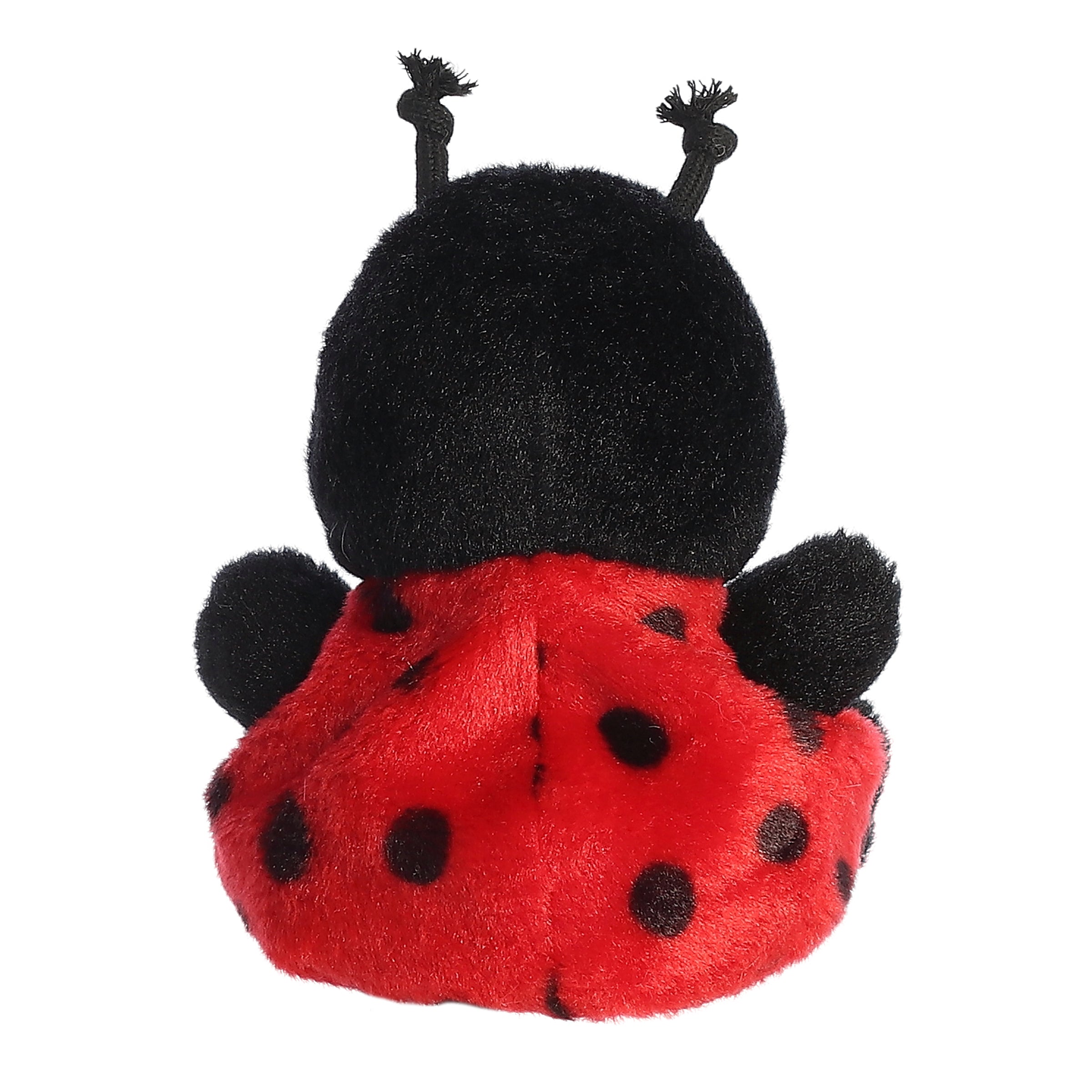 Lil Spots Ladybug?