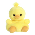 Darling Duck?