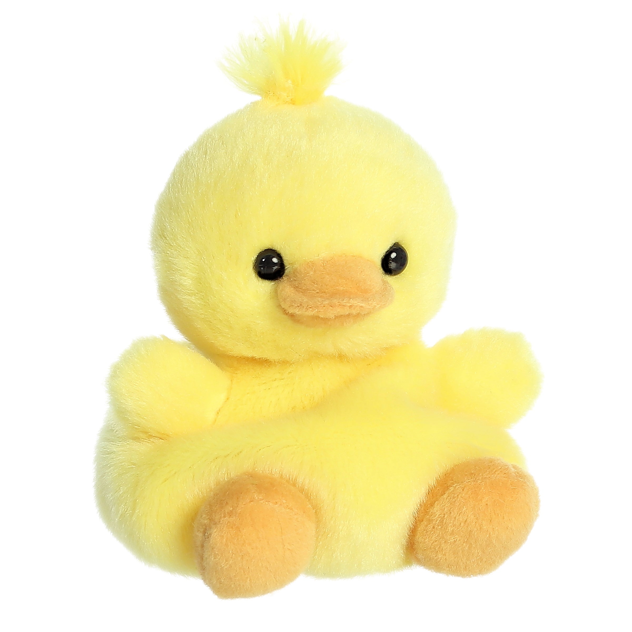 Darling Duck?