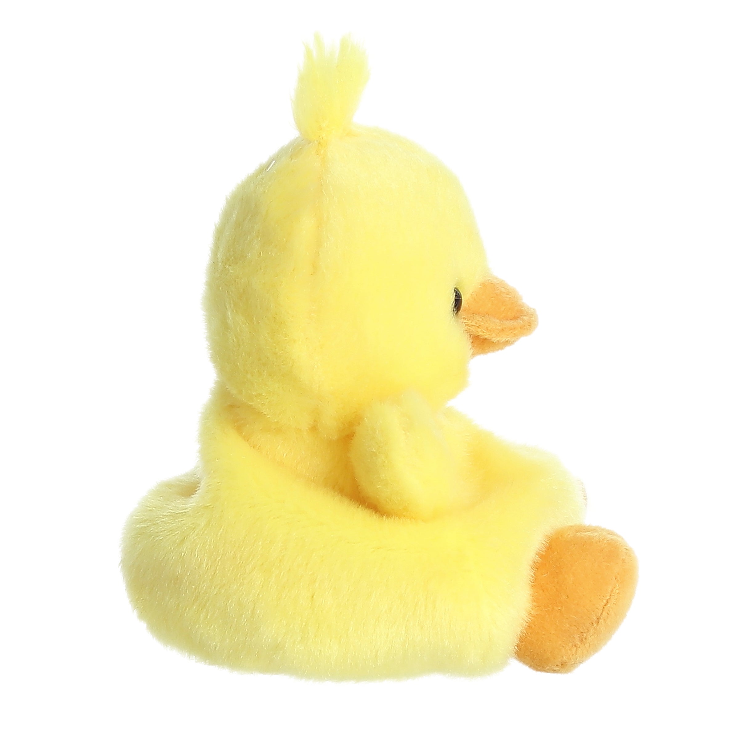 Darling Duck?