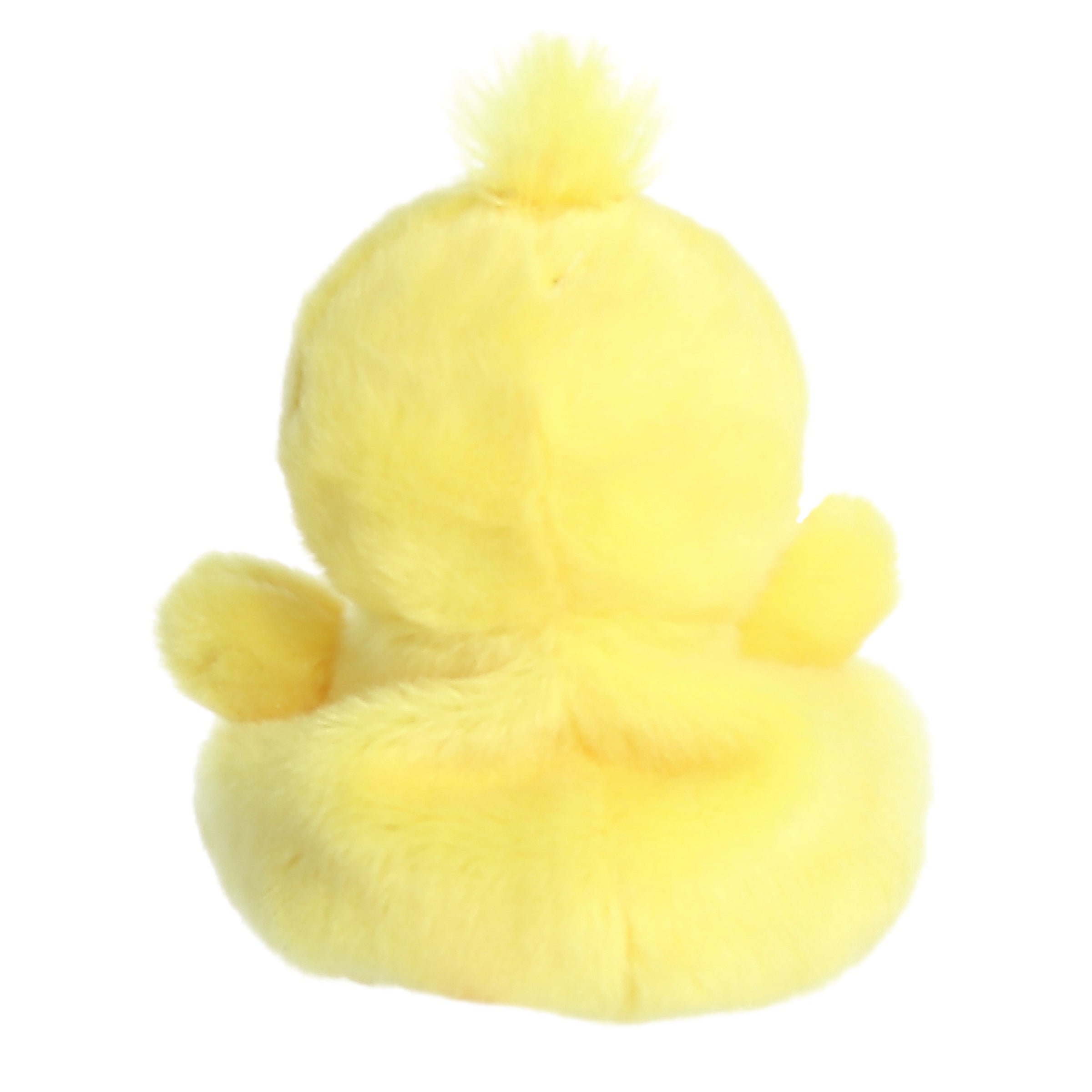 Darling Duck?