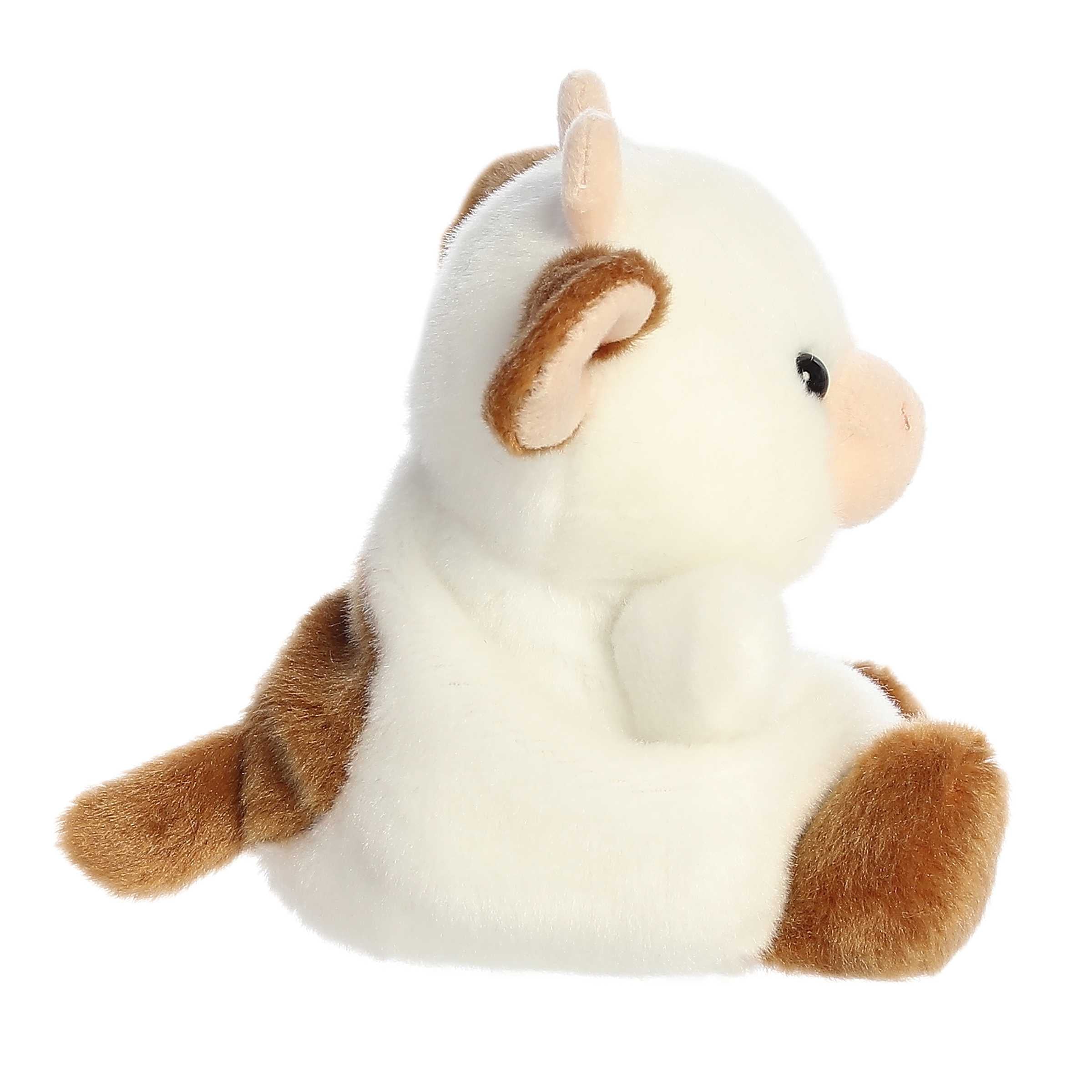 Caroline Brown Cow?