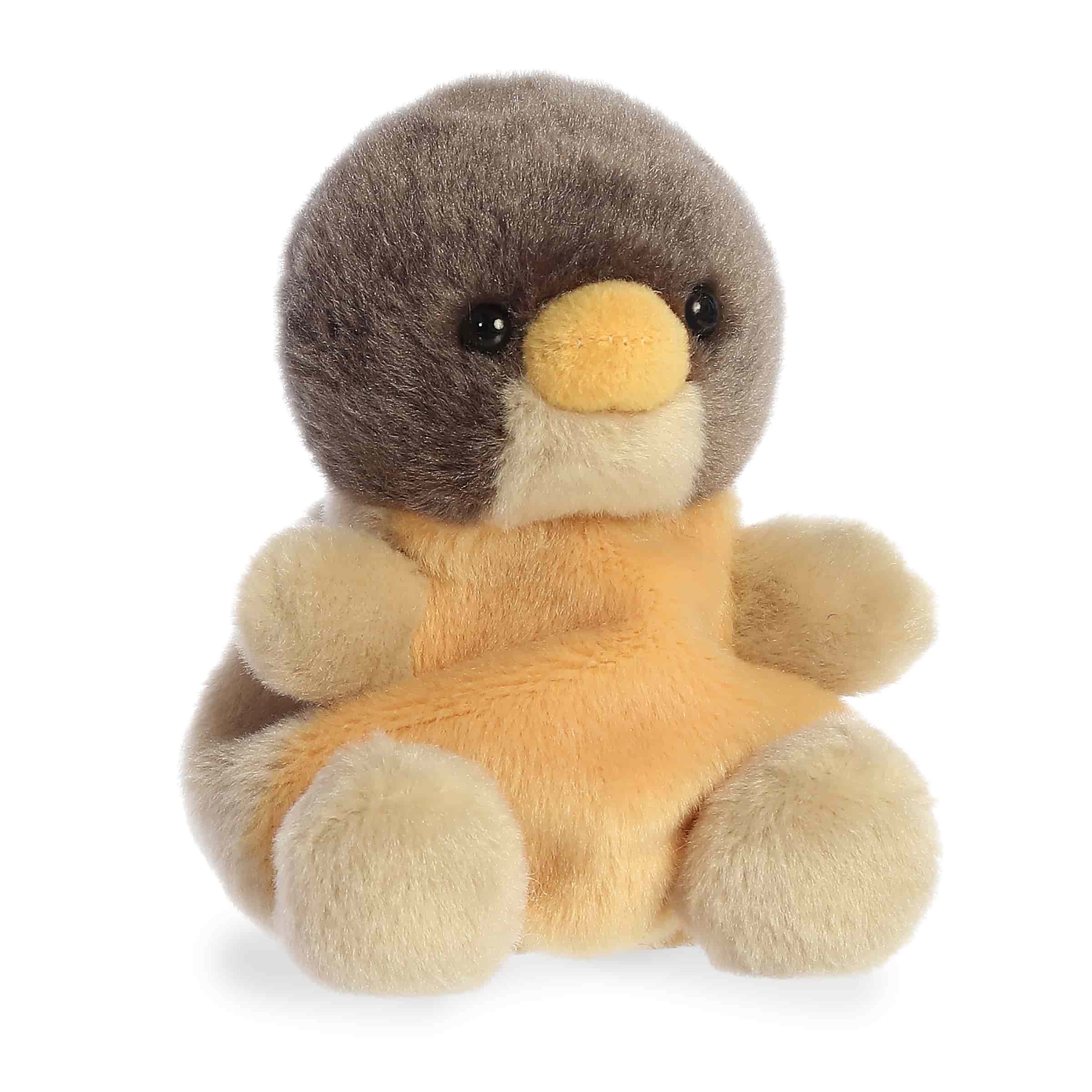 Rudi Robin?