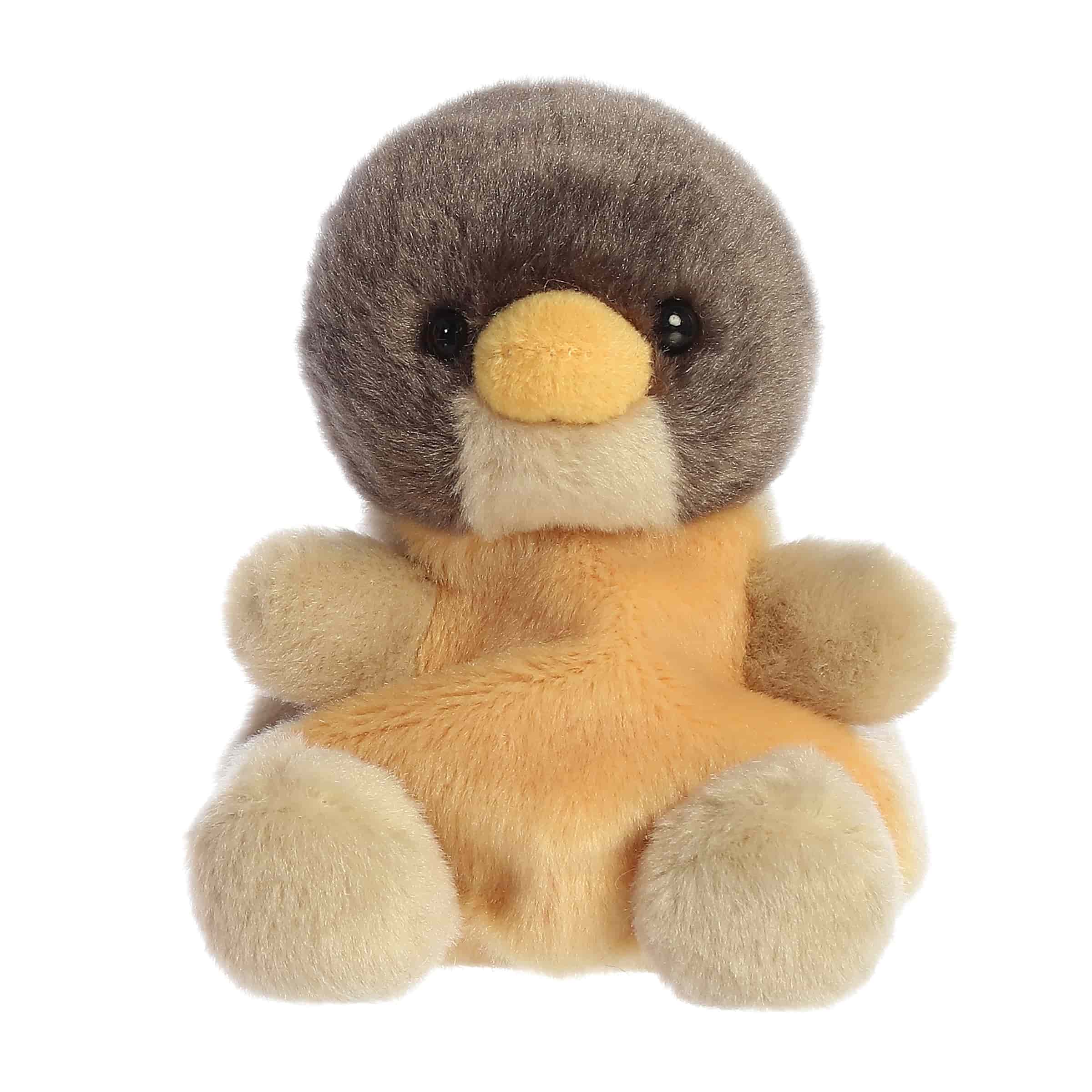 Rudi Robin?
