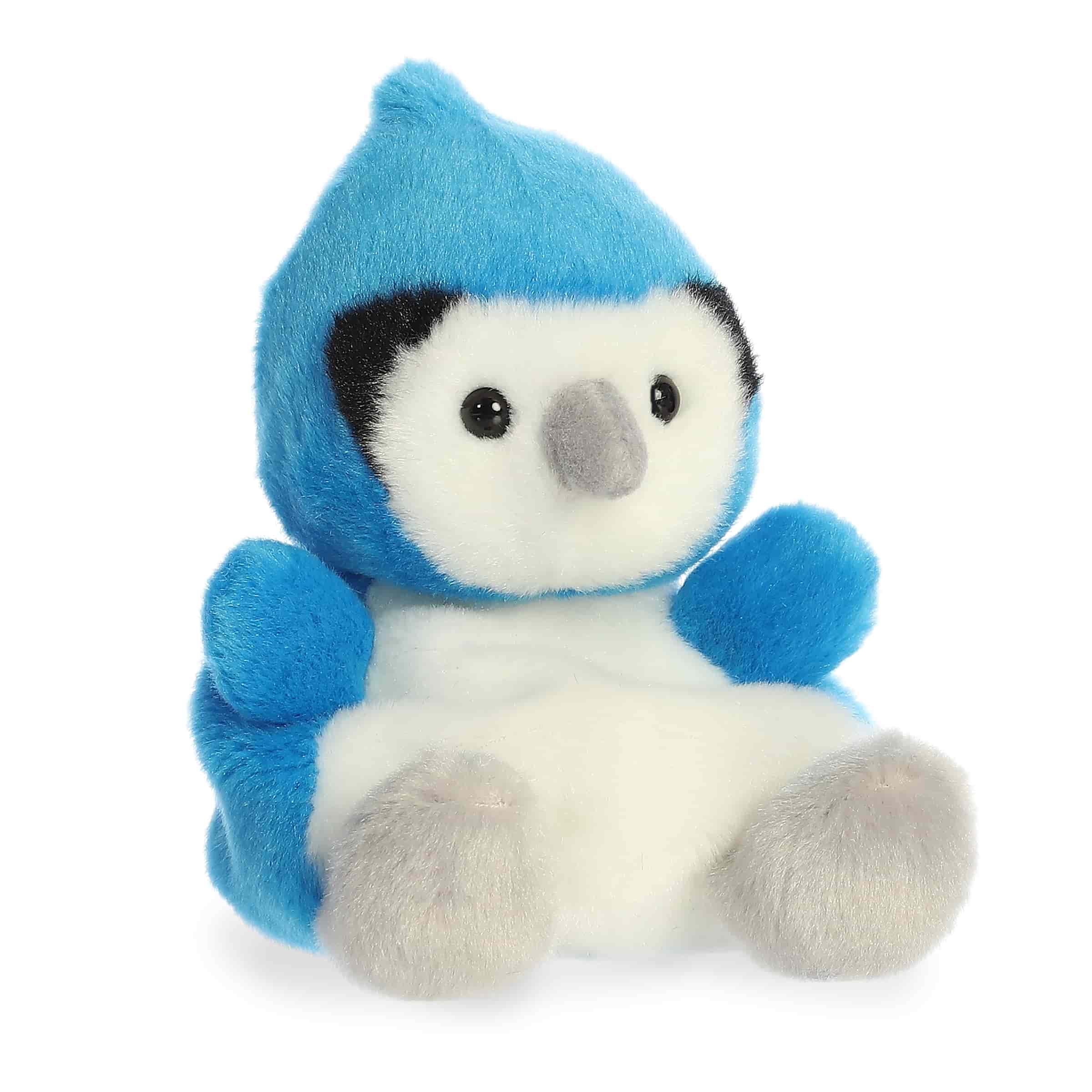 Chatters Blue Jay?