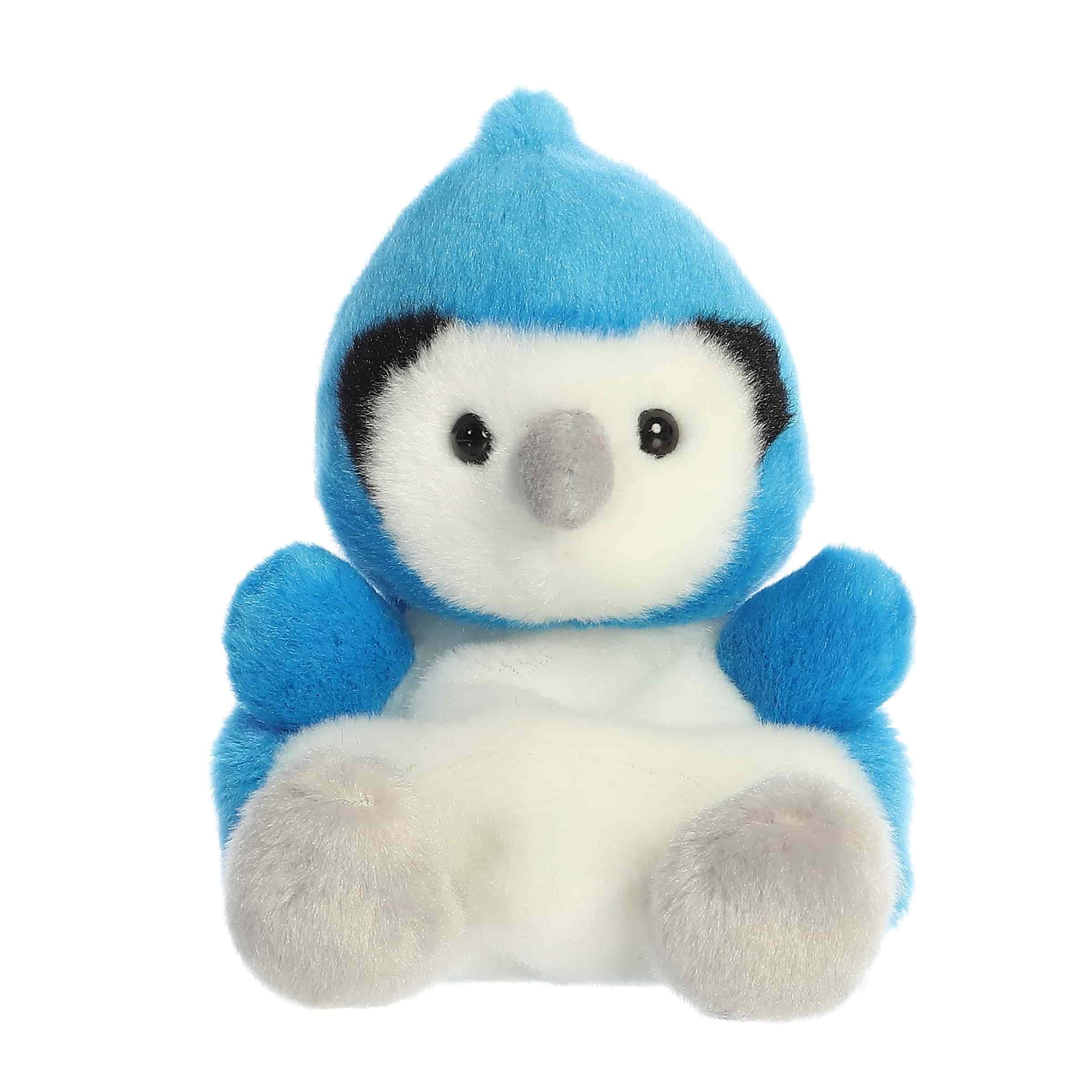 Chatters Blue Jay?
