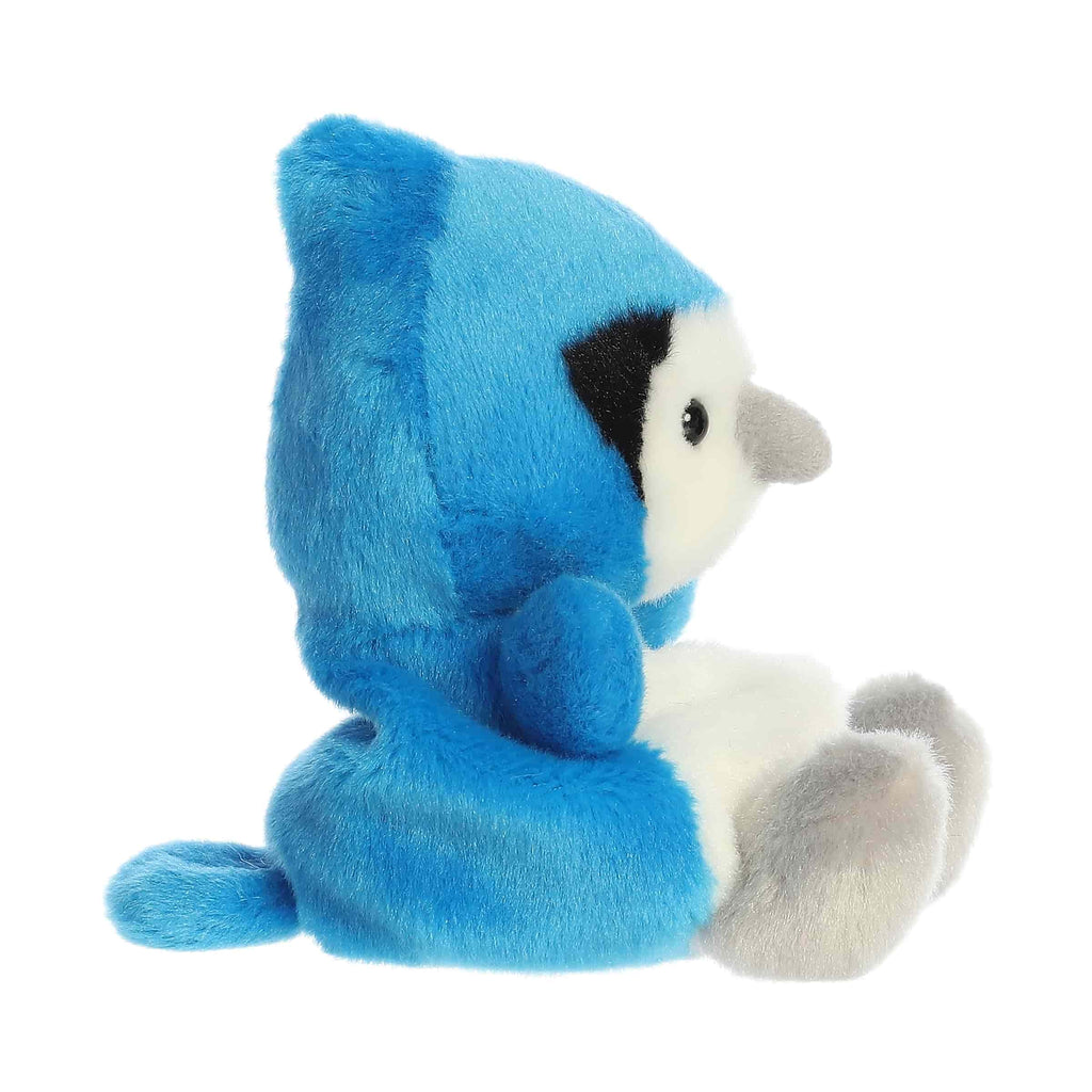 Chatters Blue Jay?